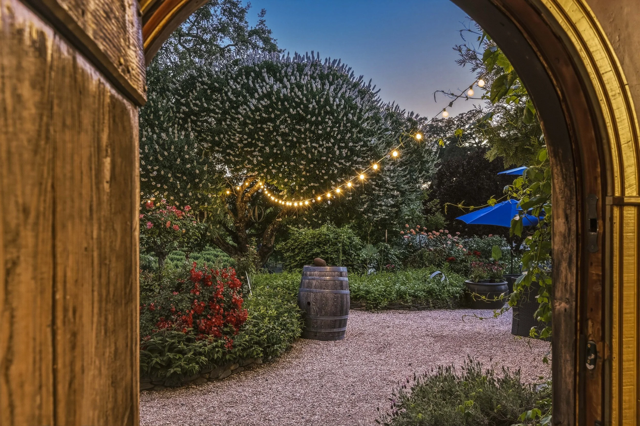Youngs Vineyard 61.jpg