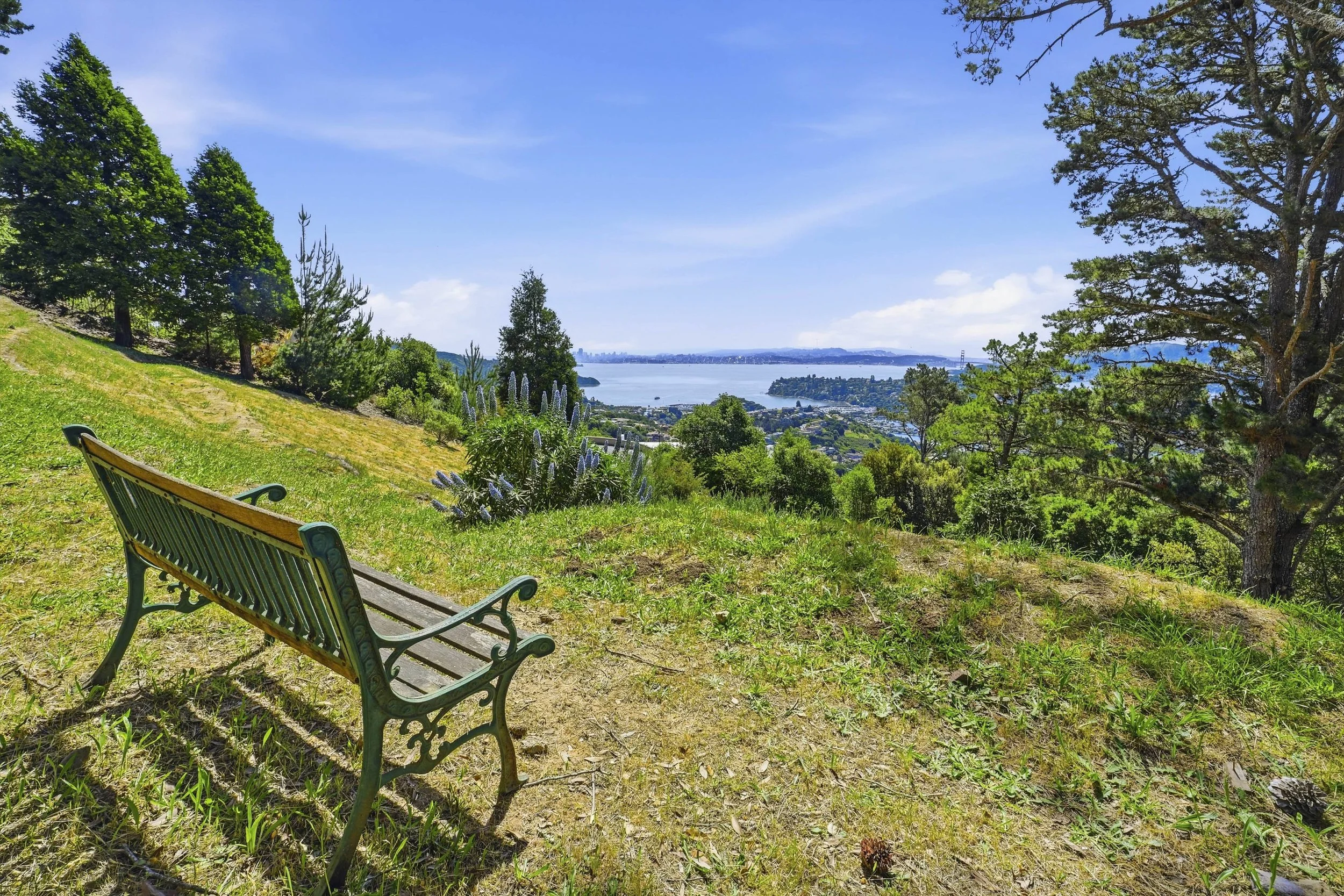 107 Mount Tiburon 35.jpg