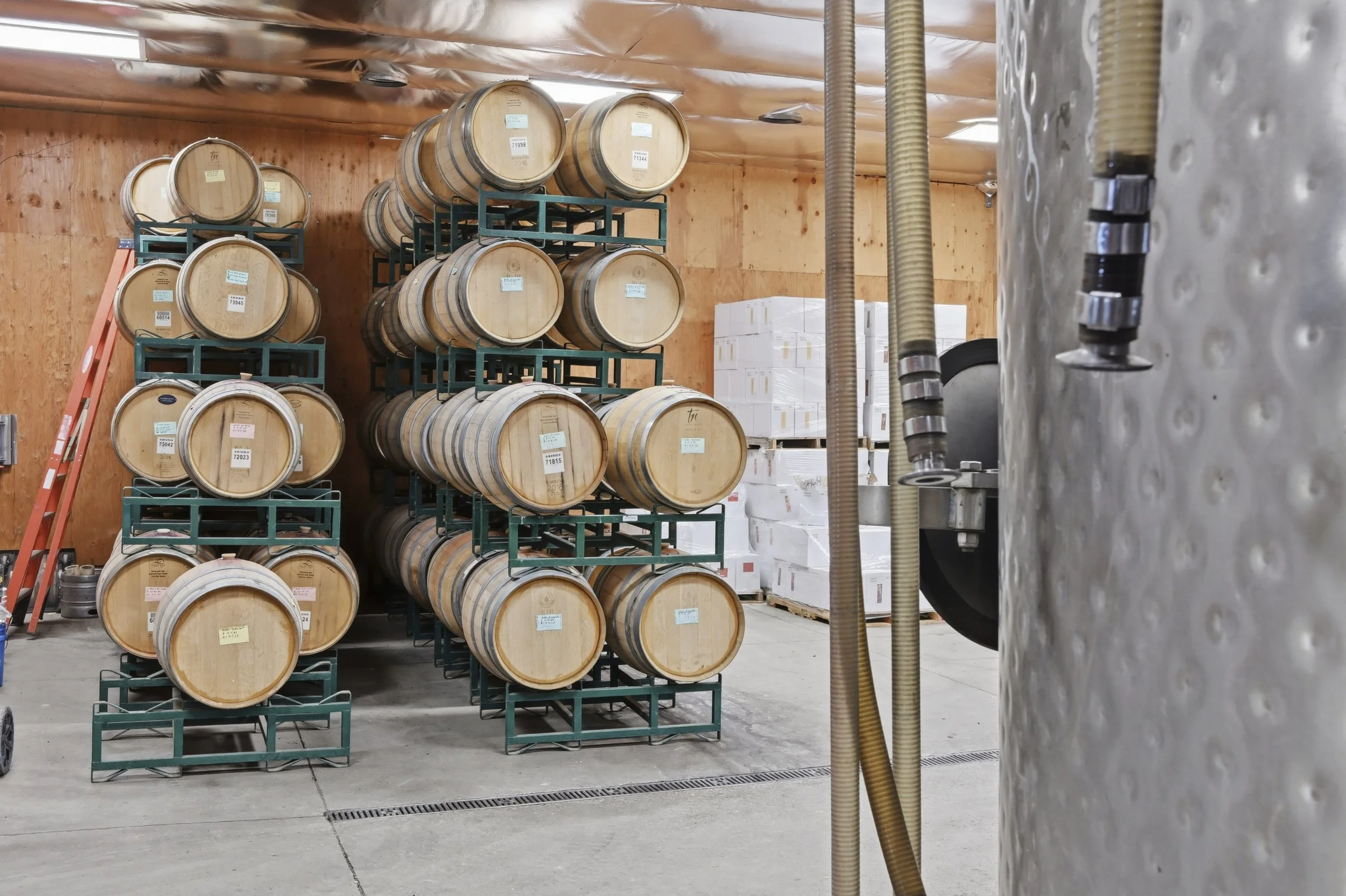Young's Vineyard - 145.jpg