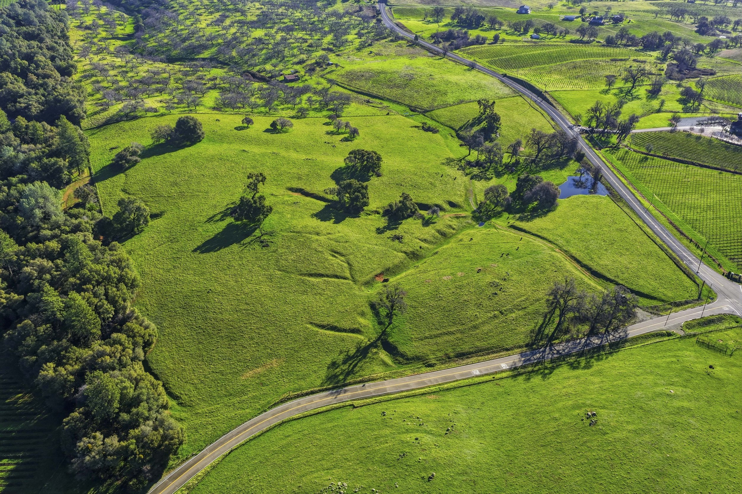 11777 Shenandoah Rd 17.jpg