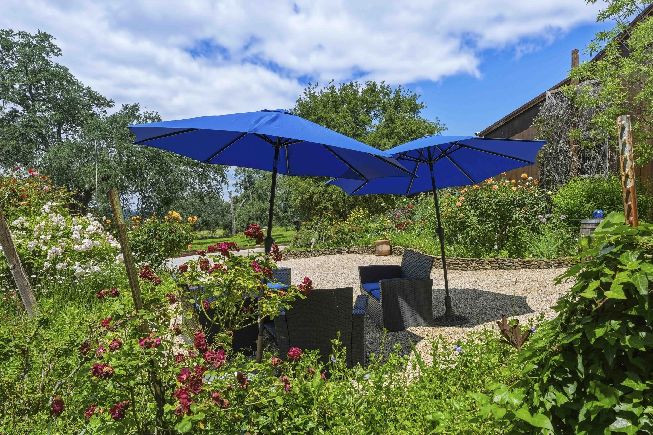 Youngs Vineyard 173.jpg