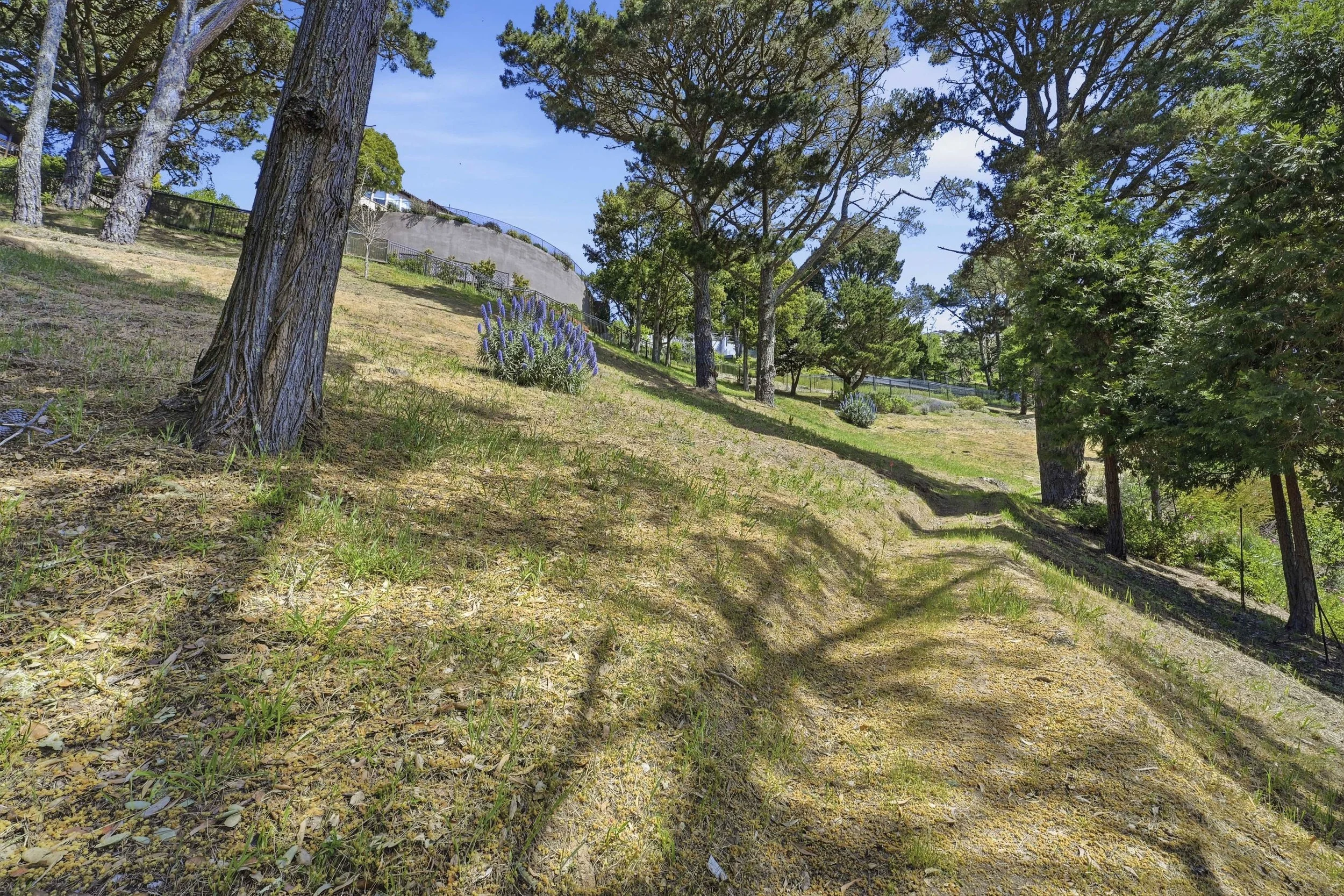 107 Mount Tiburon 26.jpg