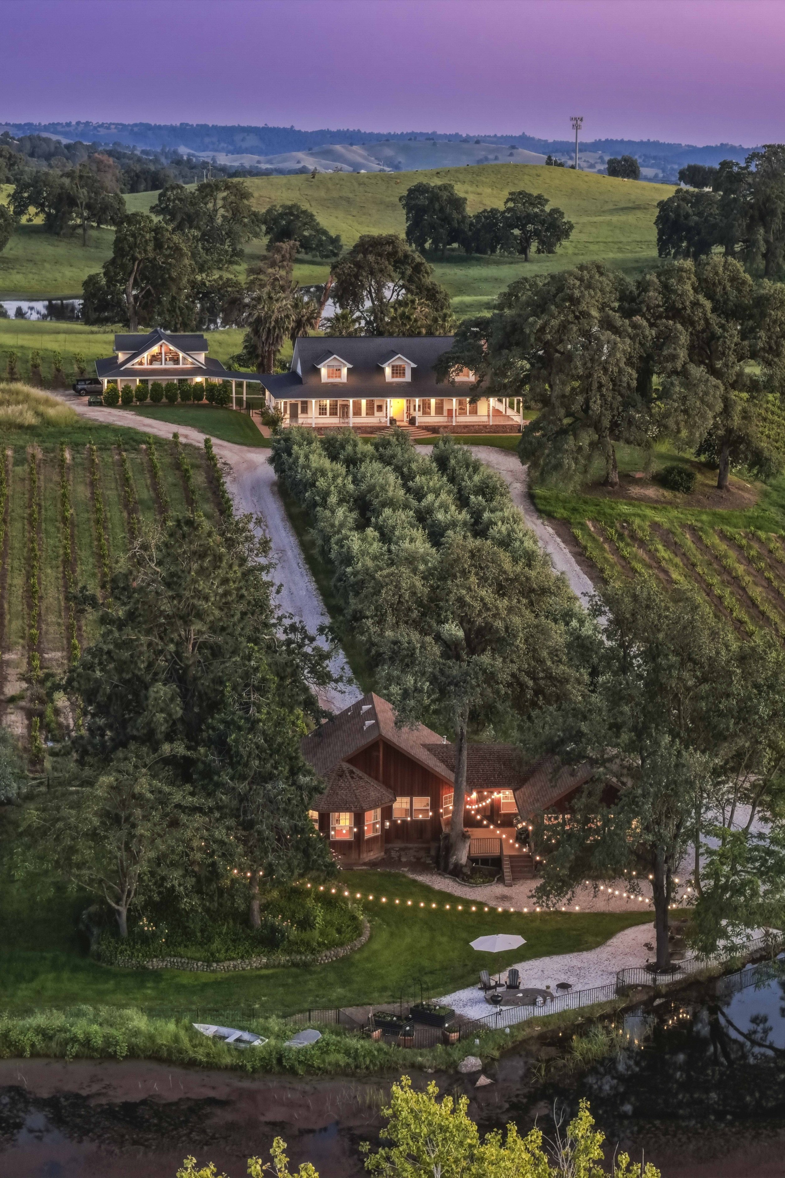 Youngs Vineyard 52.jpg