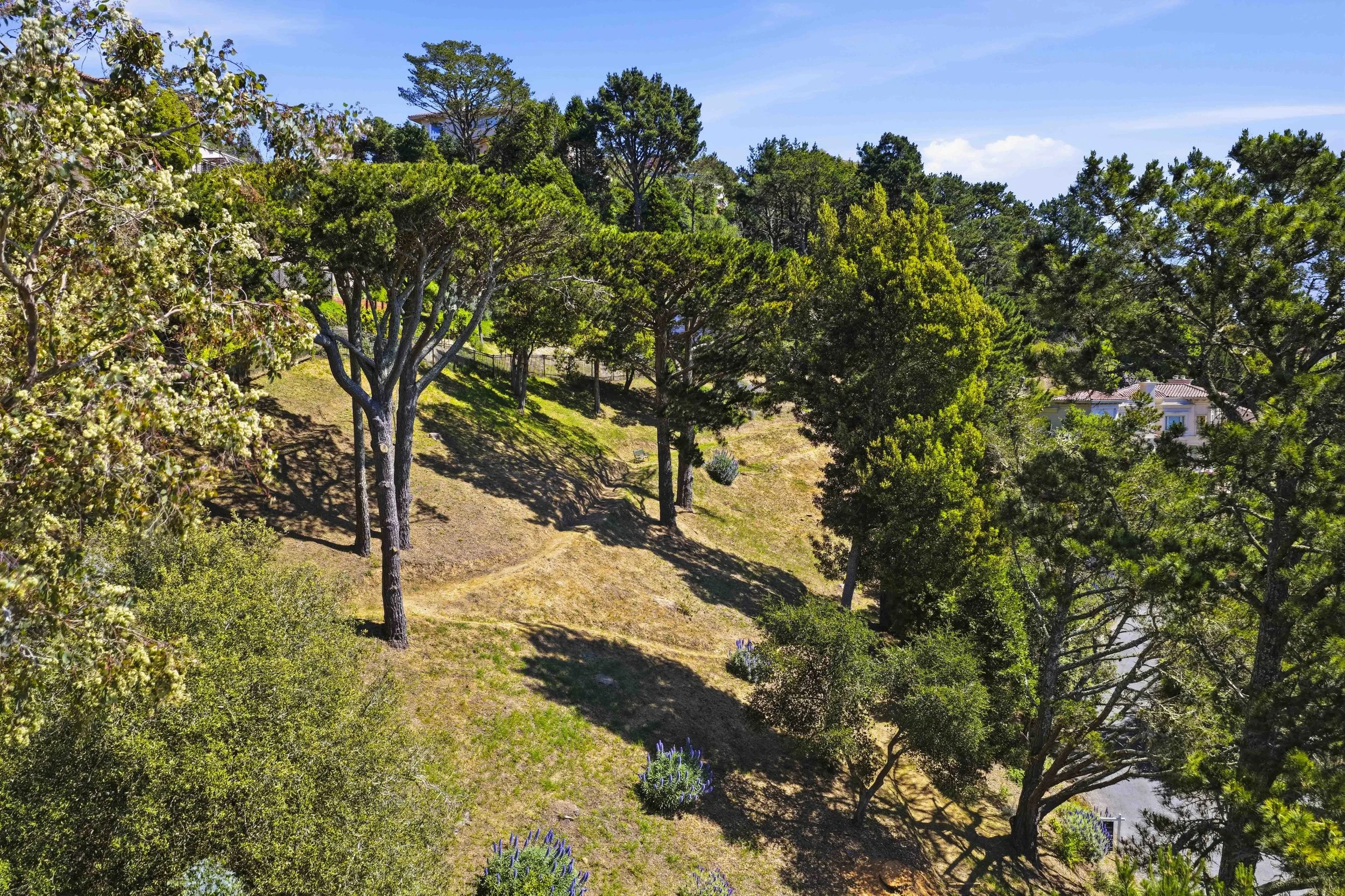 107 Mount Tiburon 57.jpg