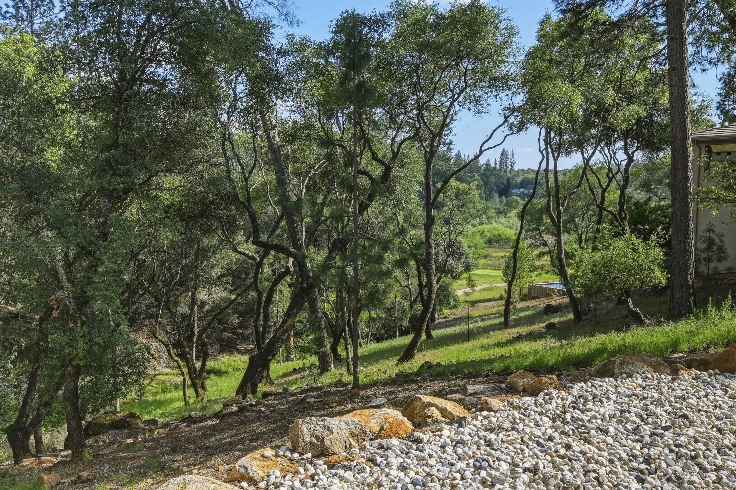 1455 Lodge View Dr 72.jpg