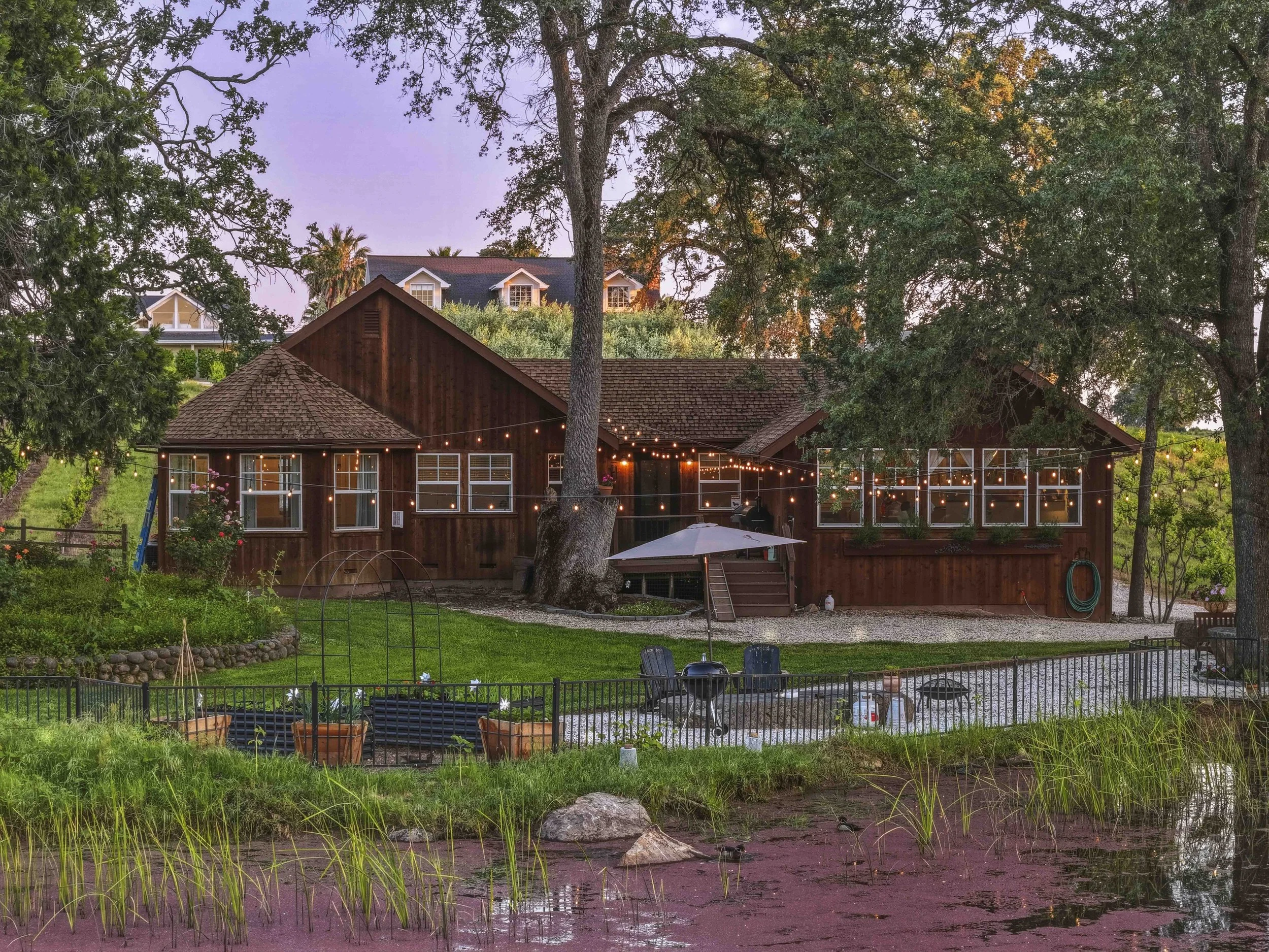 Youngs Vineyard 16.jpg
