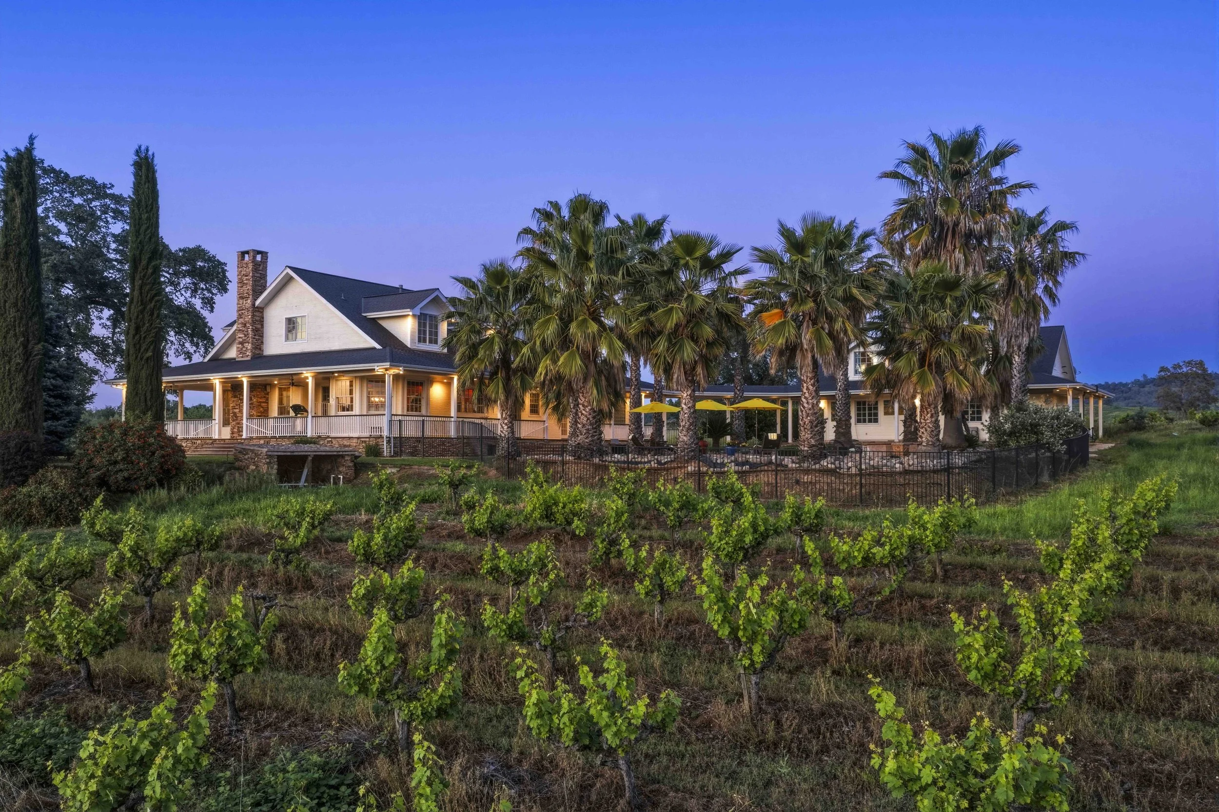 Young's Vineyard Twilights - _43.jpg