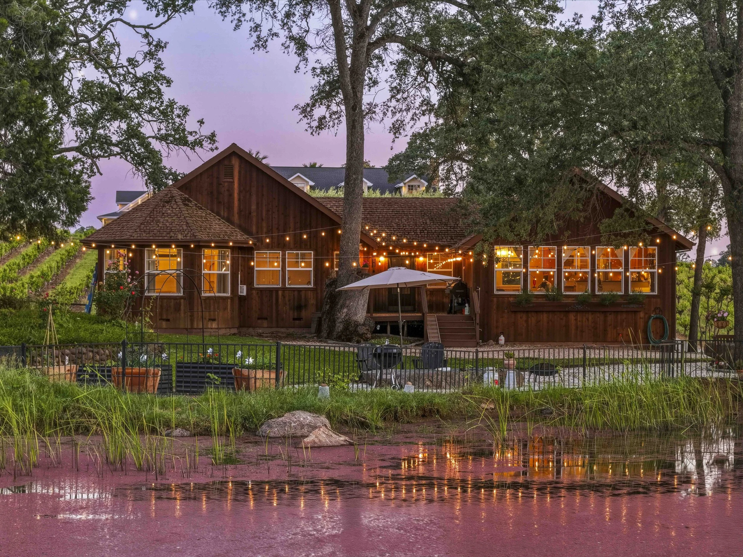 Young's Vineyard Twilights - _36.jpg