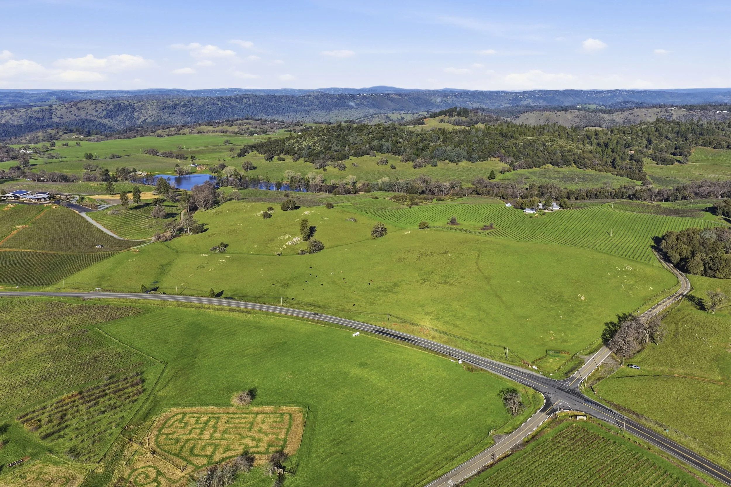 11777 Shenandoah Rd 18.jpg