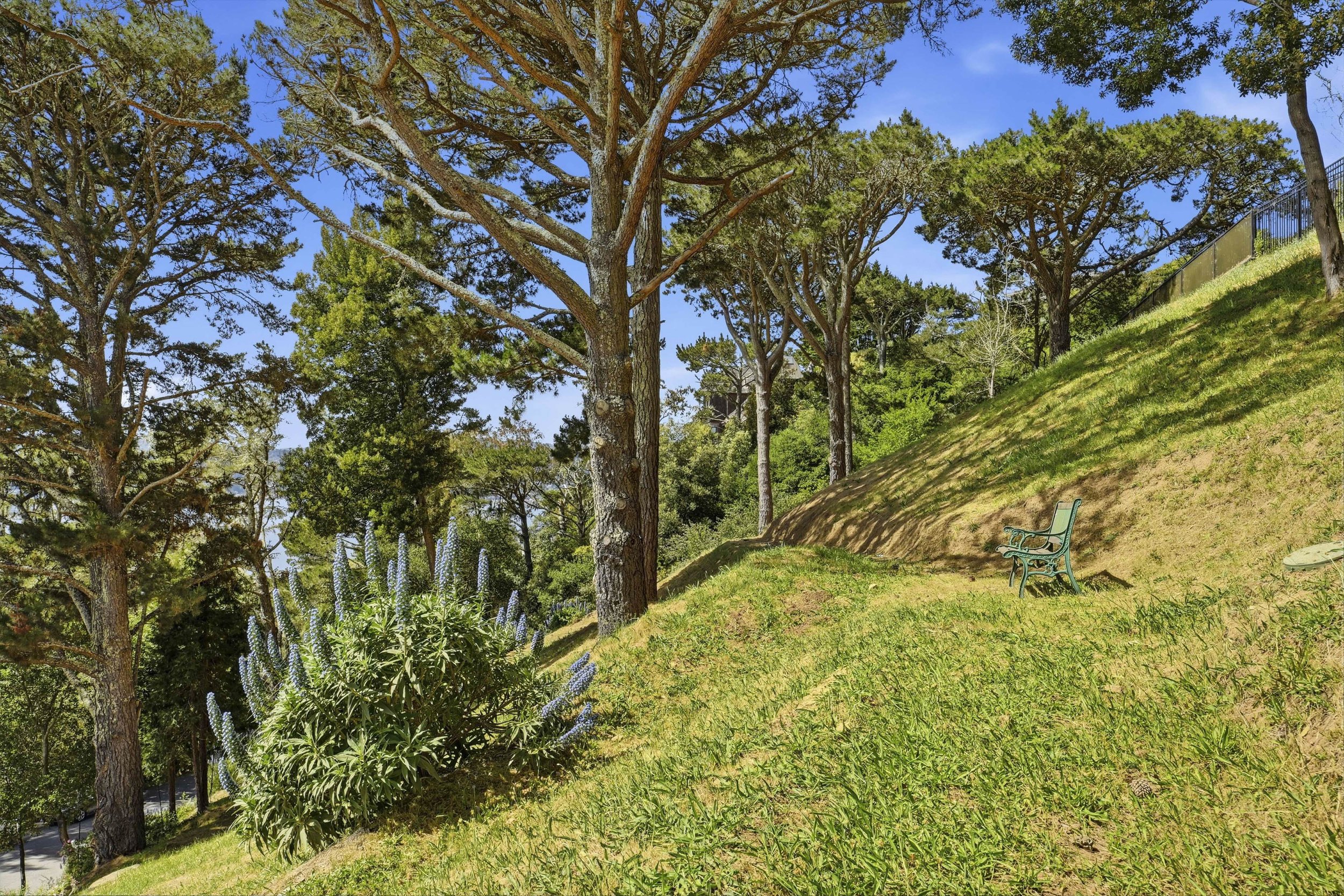 107 Mount Tiburon 34.jpg