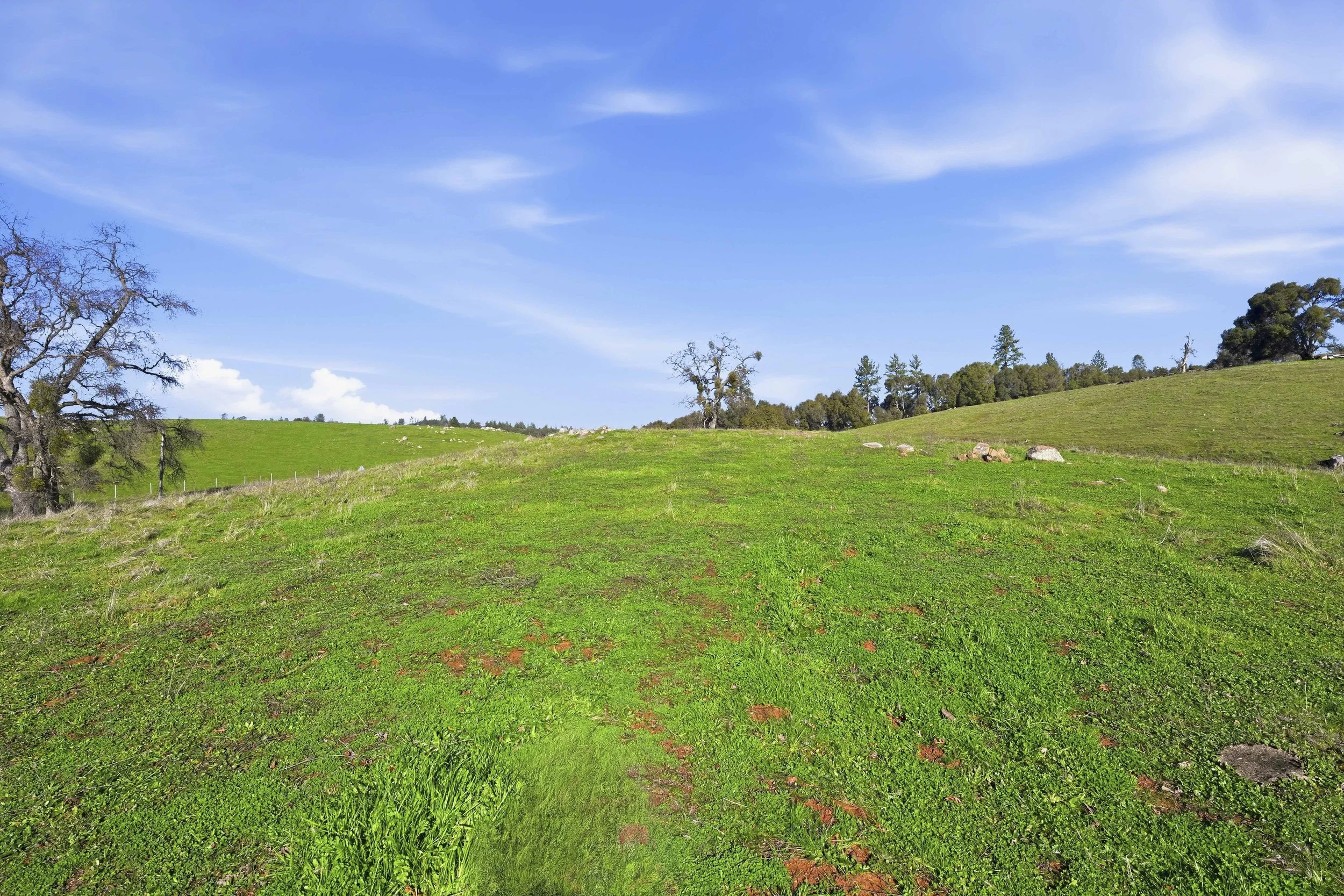 11777 Shenandoah Rd 29.jpg