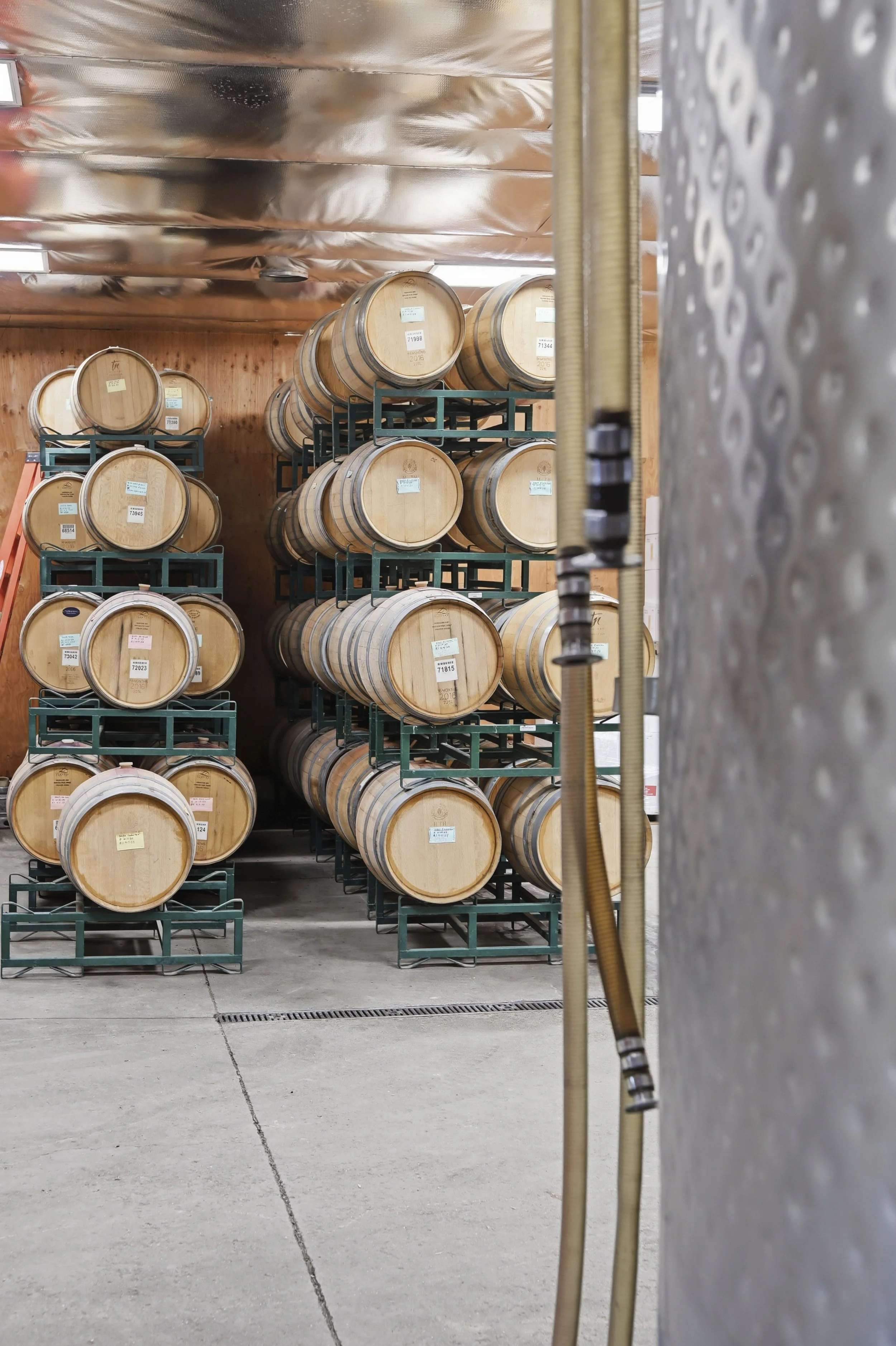 Young's Vineyard - 146.jpg