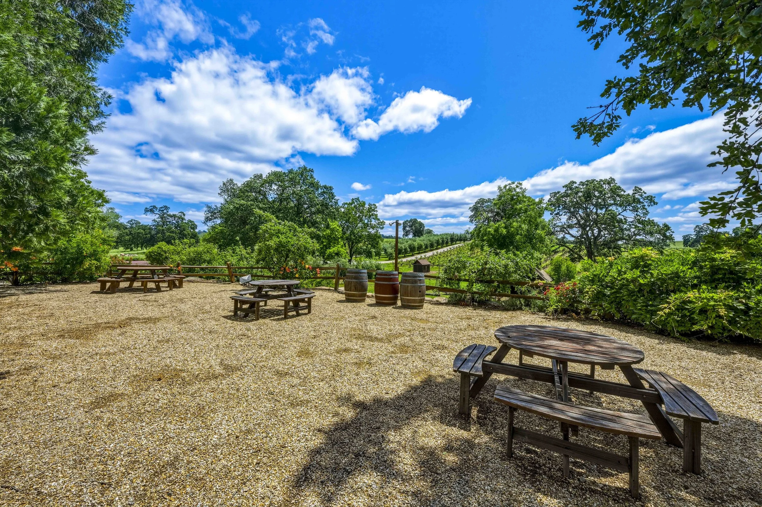 Young's Vineyard - 114.jpg