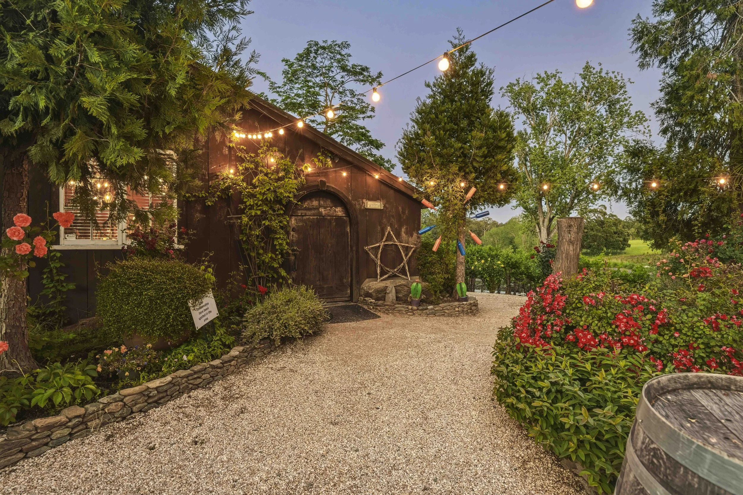 Young's Vineyard Twilights - _55.jpg