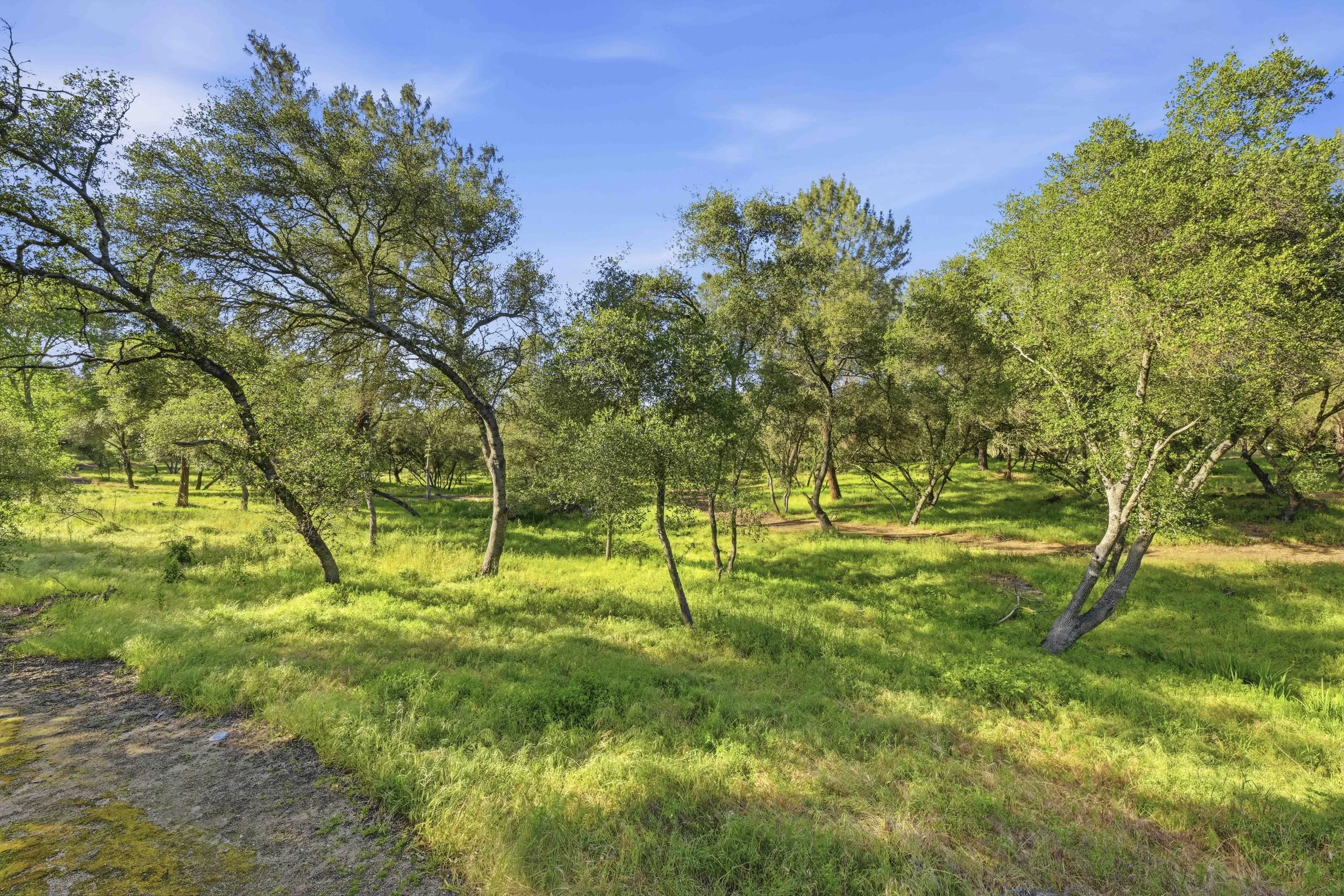 8335 Walden Woods Way 67.jpg