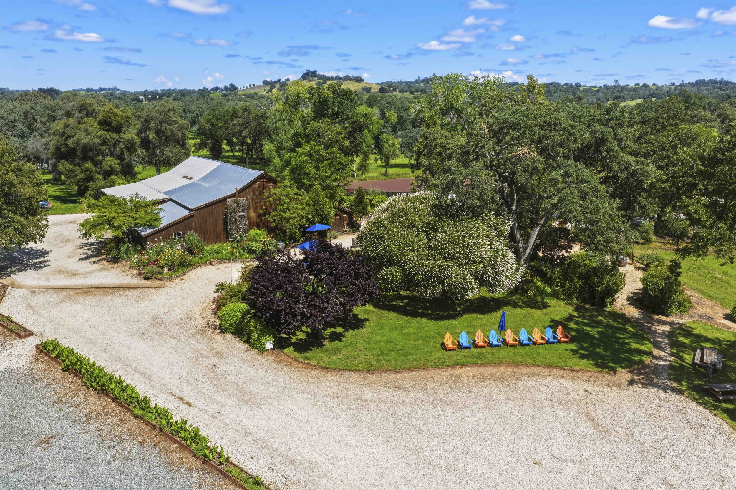 Young's Vineyard - 27.jpg