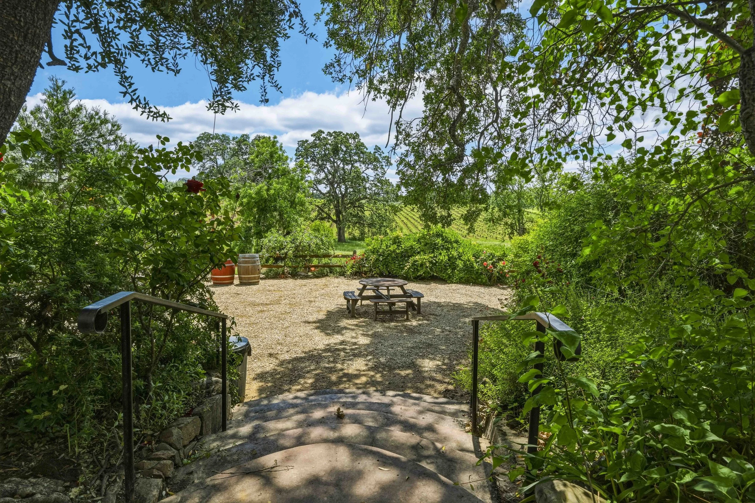 Young's Vineyard - 113.jpg