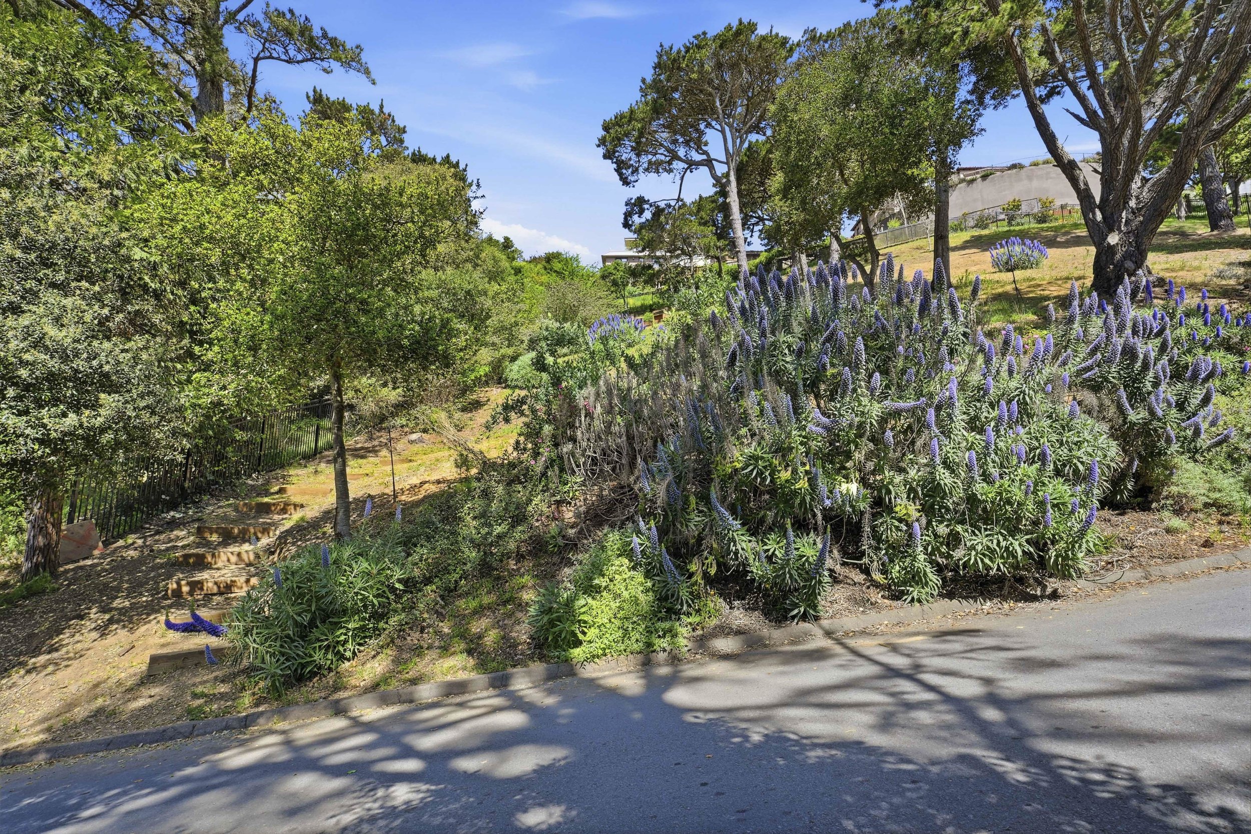 107 Mount Tiburon 20.jpg