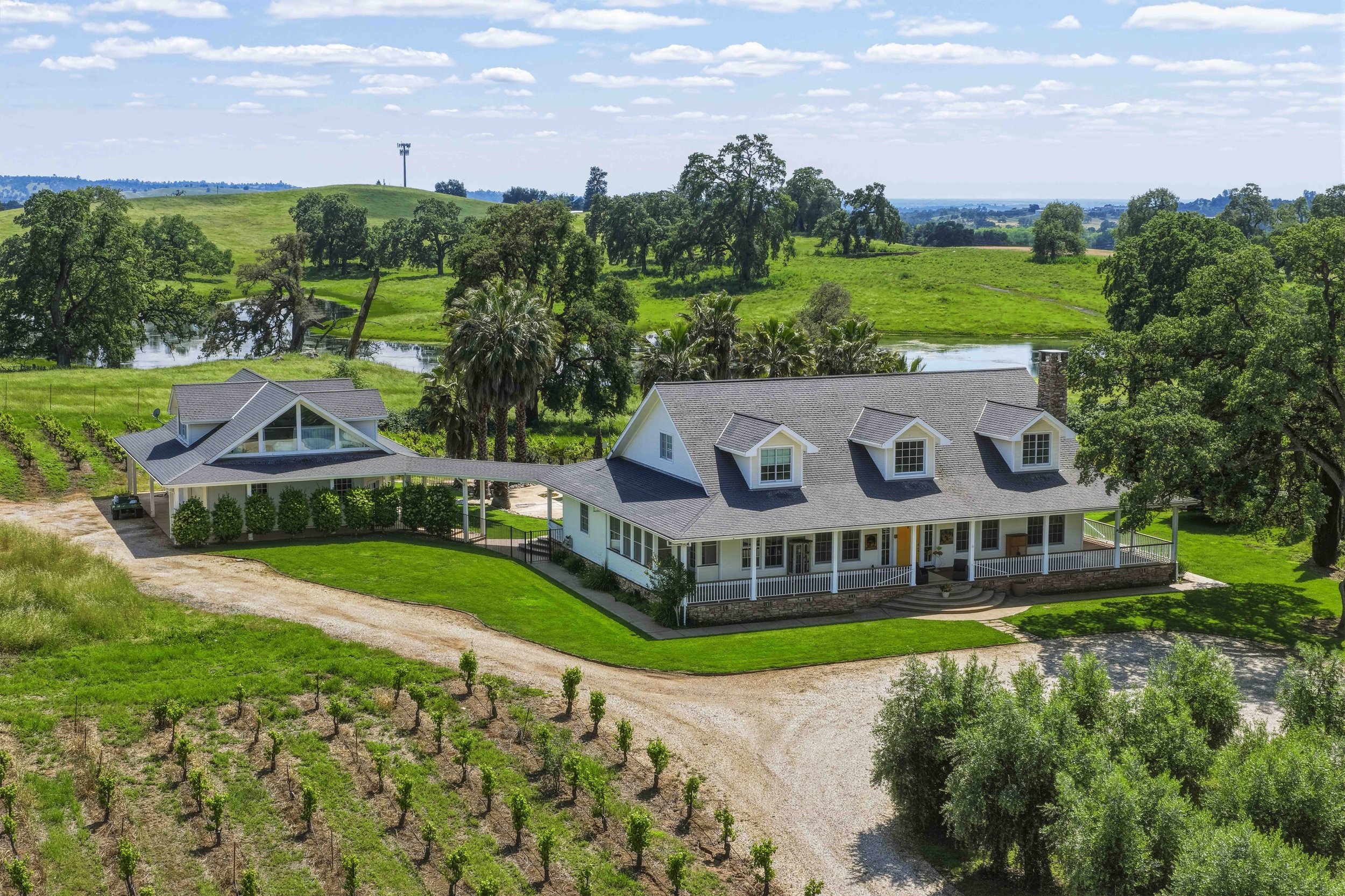 Youngs Vineyard 84.jpg