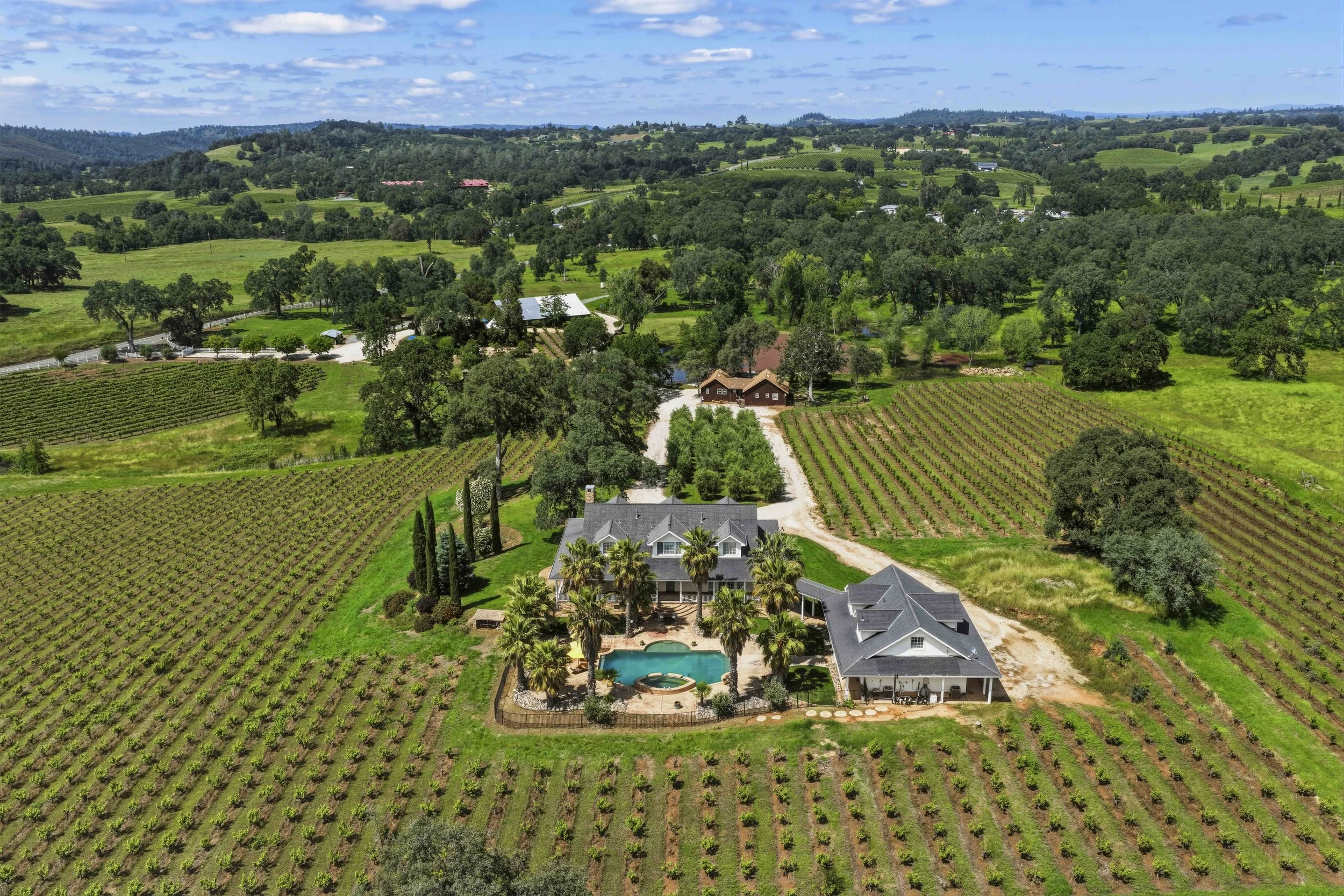 Young's Vineyard - 12.jpg