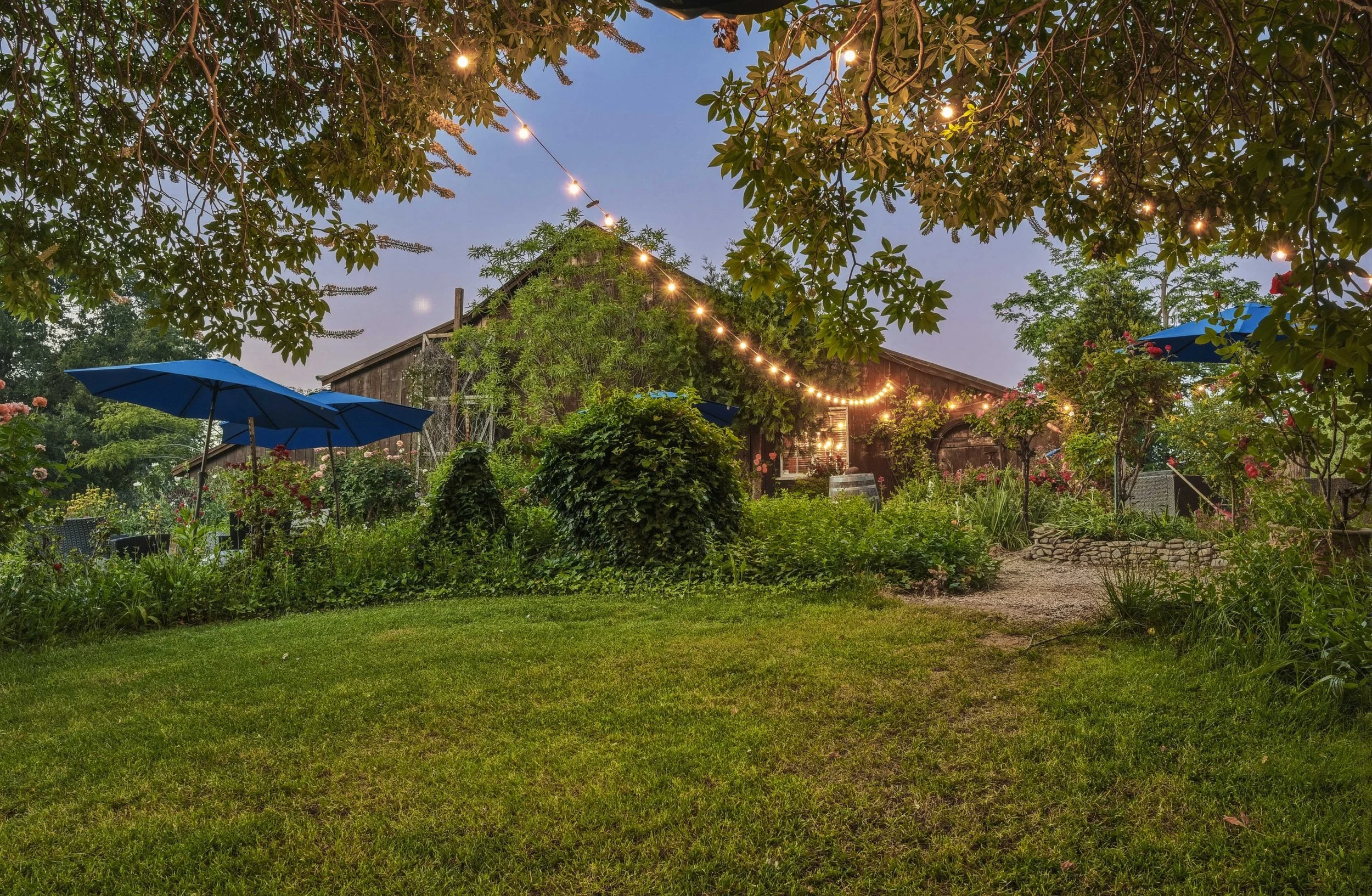 Young's Vineyard Twilights - _58.jpg