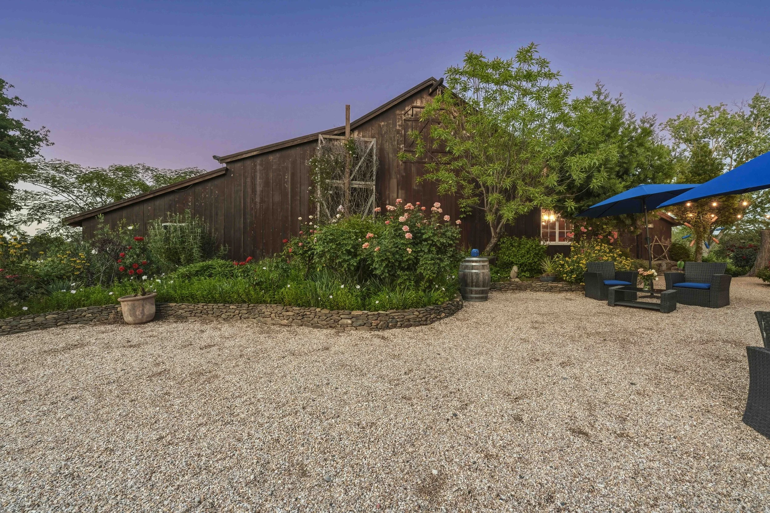 Young's Vineyard Twilights - _54.jpg