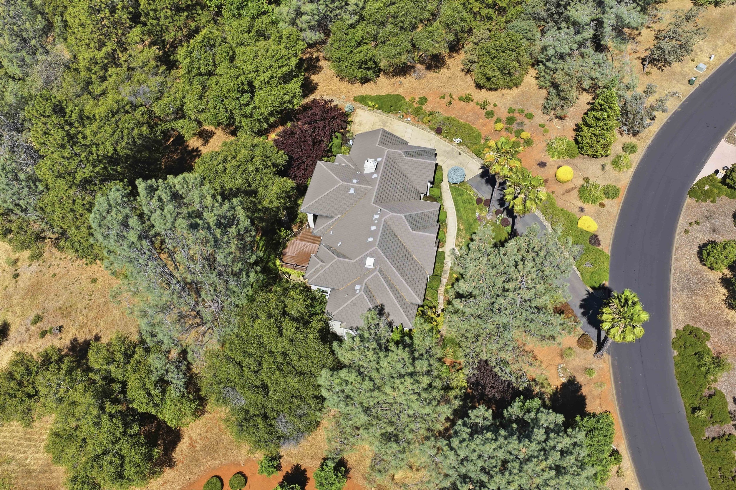 1109 Holly Leaf Ln_6.jpg