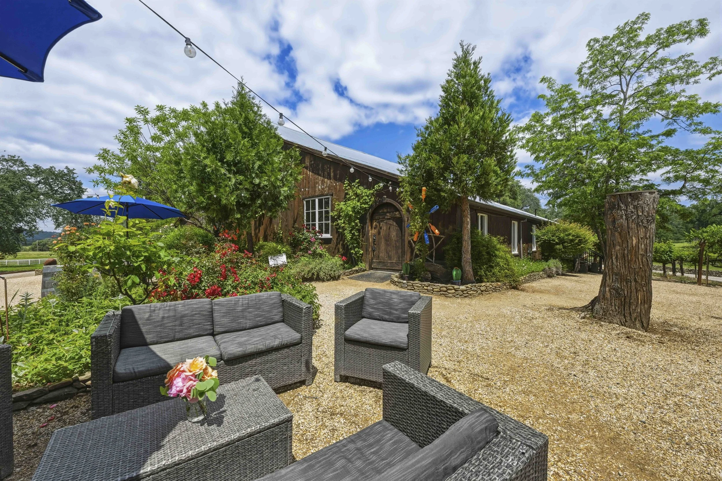Youngs Vineyard 186.jpg