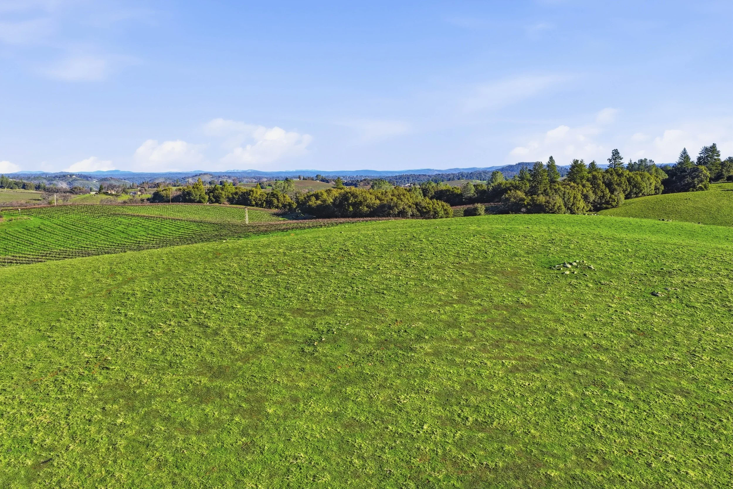 11777 Shenandoah Rd 25.jpg