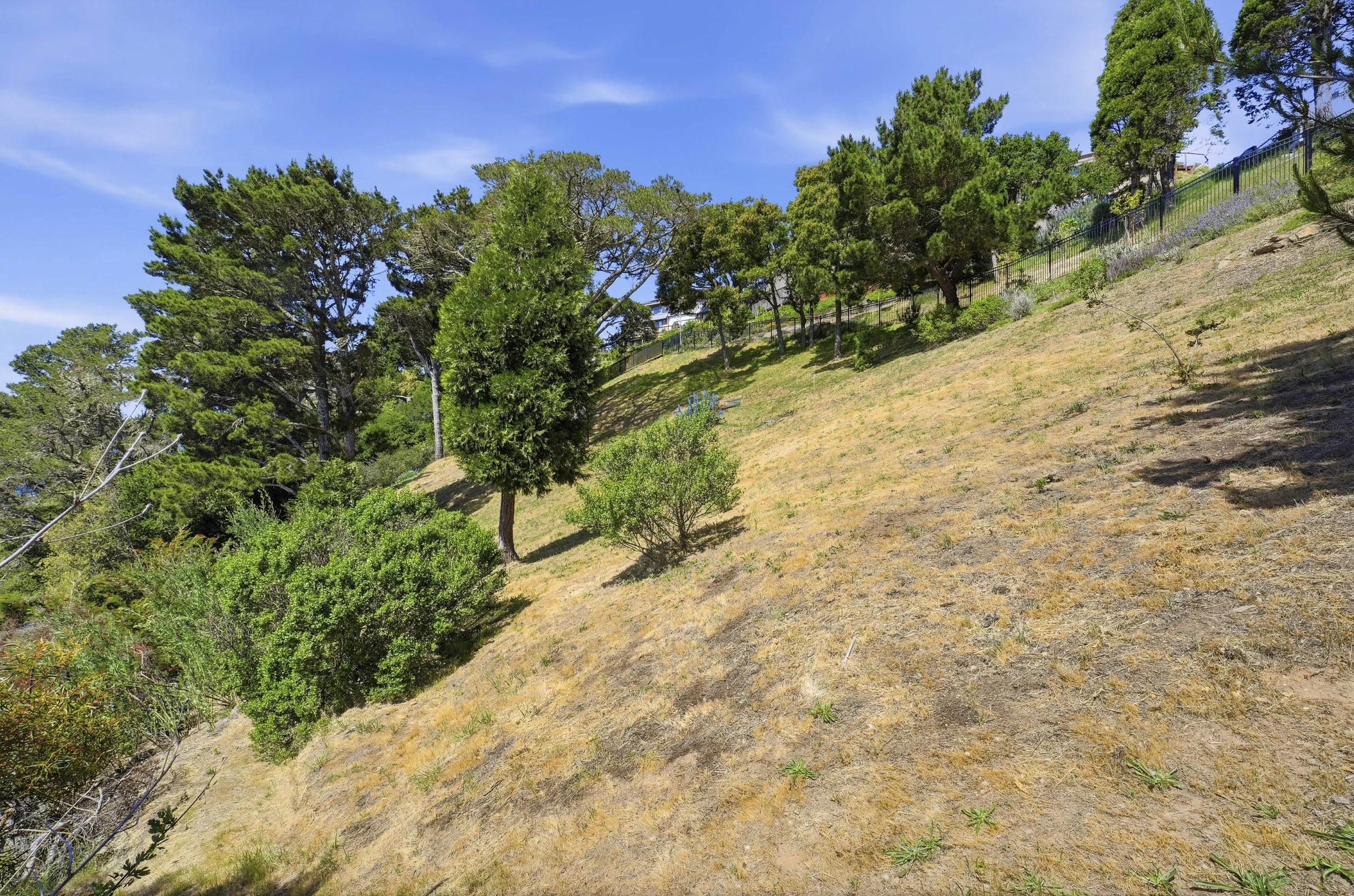 107 Mount Tiburon 28.jpg