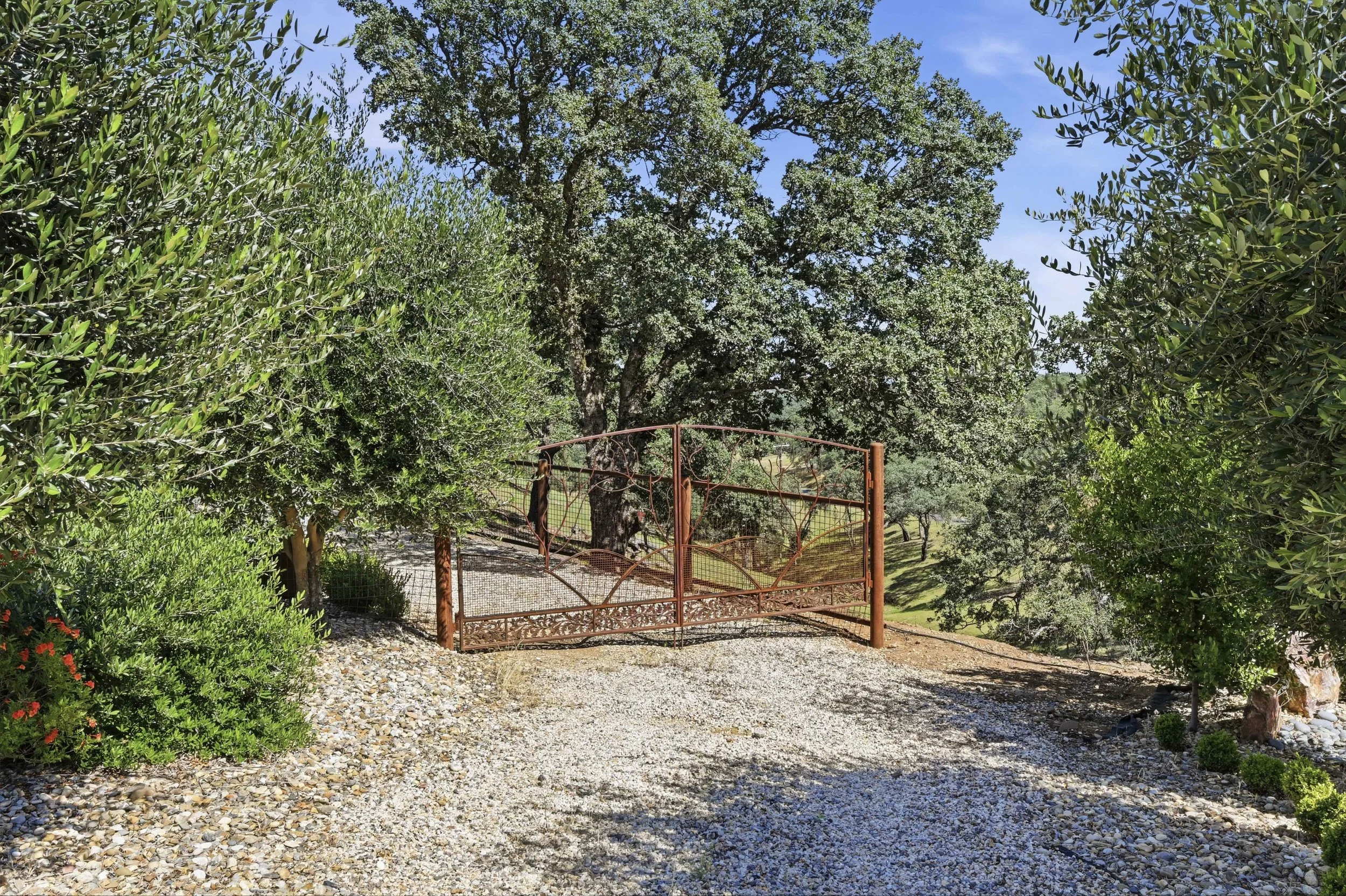 26000 Venado Dr - Daytime _89.jpg