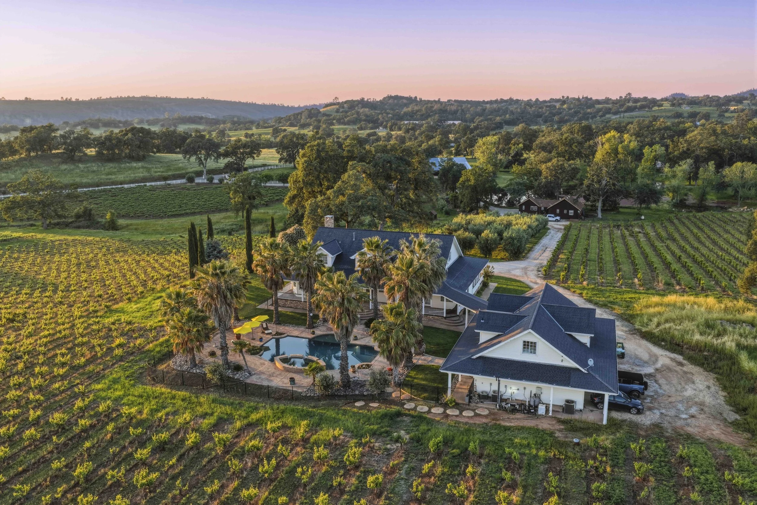 Young's Vineyard Twilights - _7.jpg