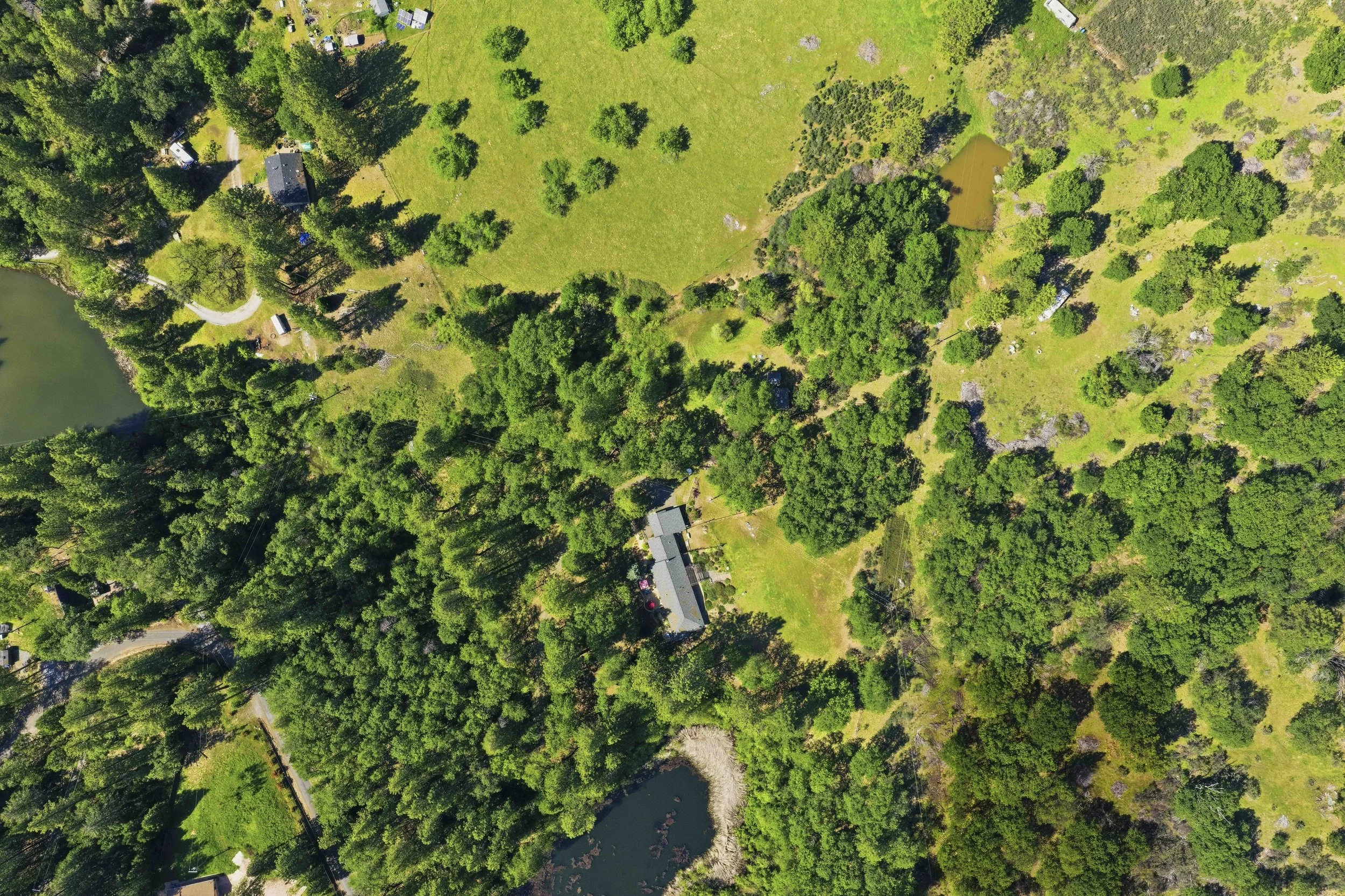 6169 Sweeney Rd 2.jpg