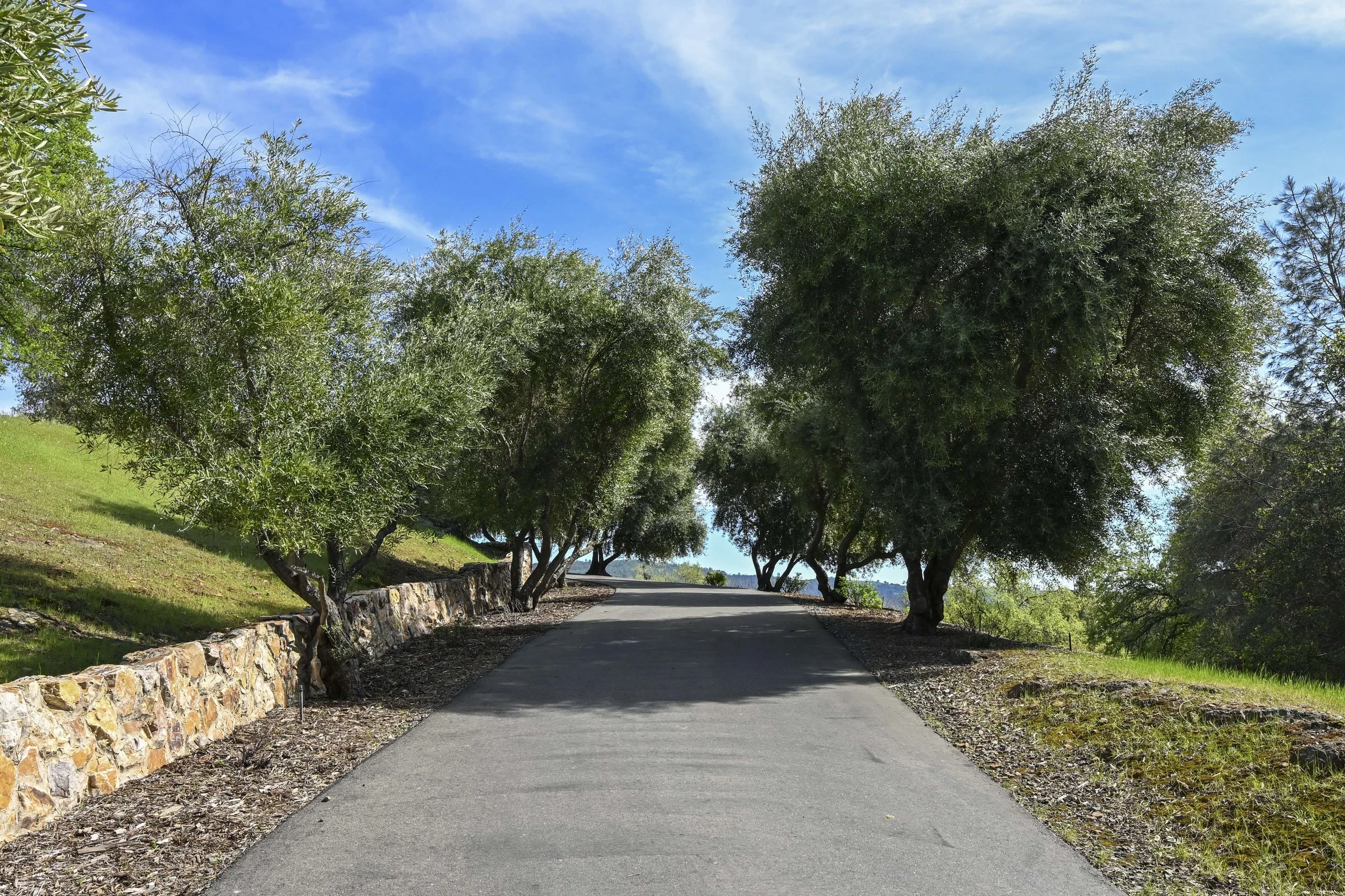 2581 Shirland Tract Rd 1.jpg