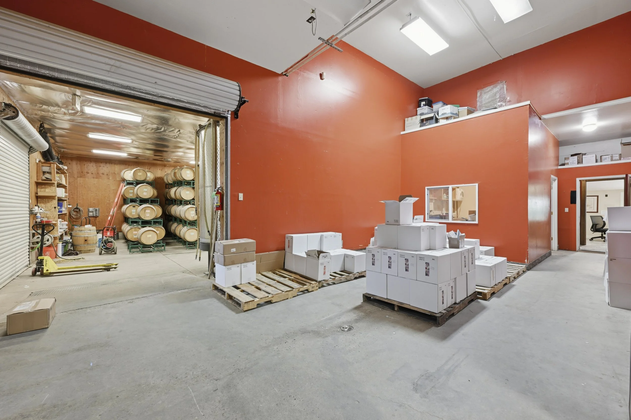 Young's Vineyard - 148.jpg