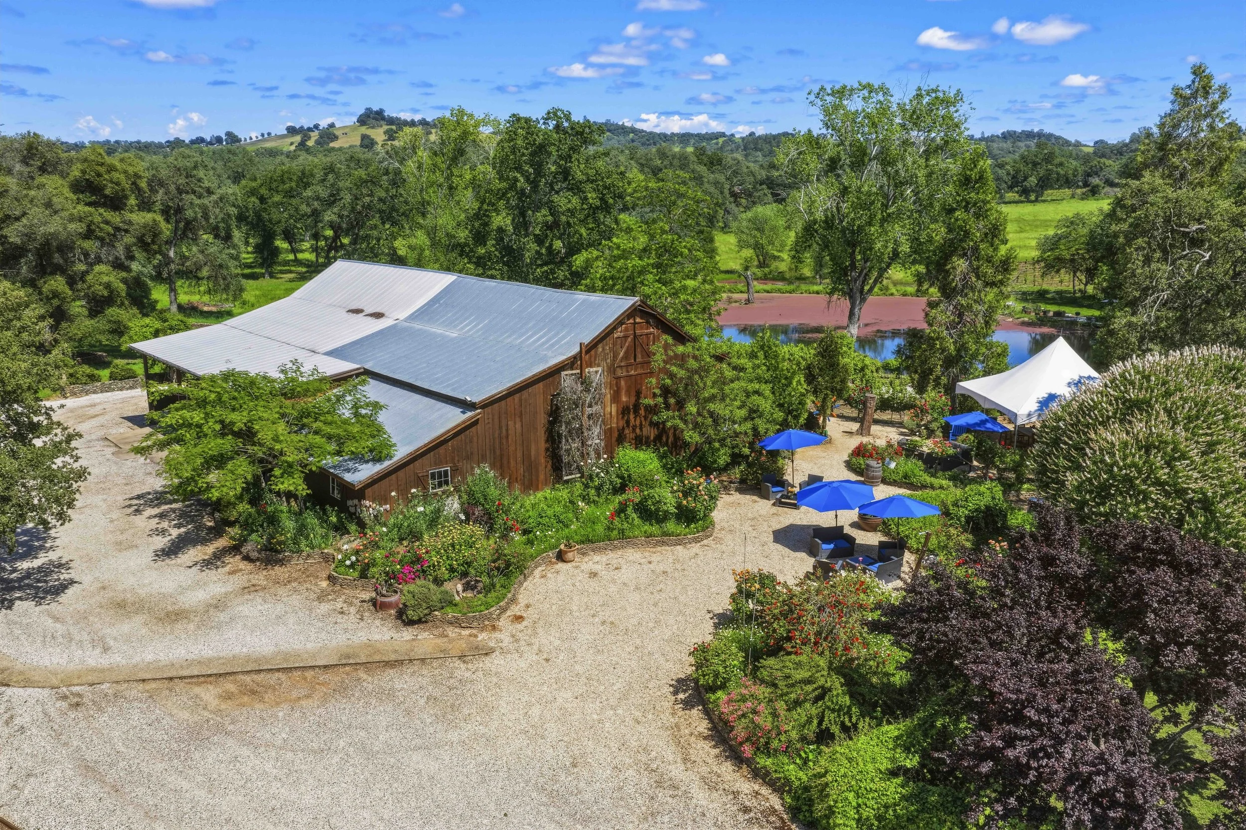 Young's Vineyard - 28.jpg