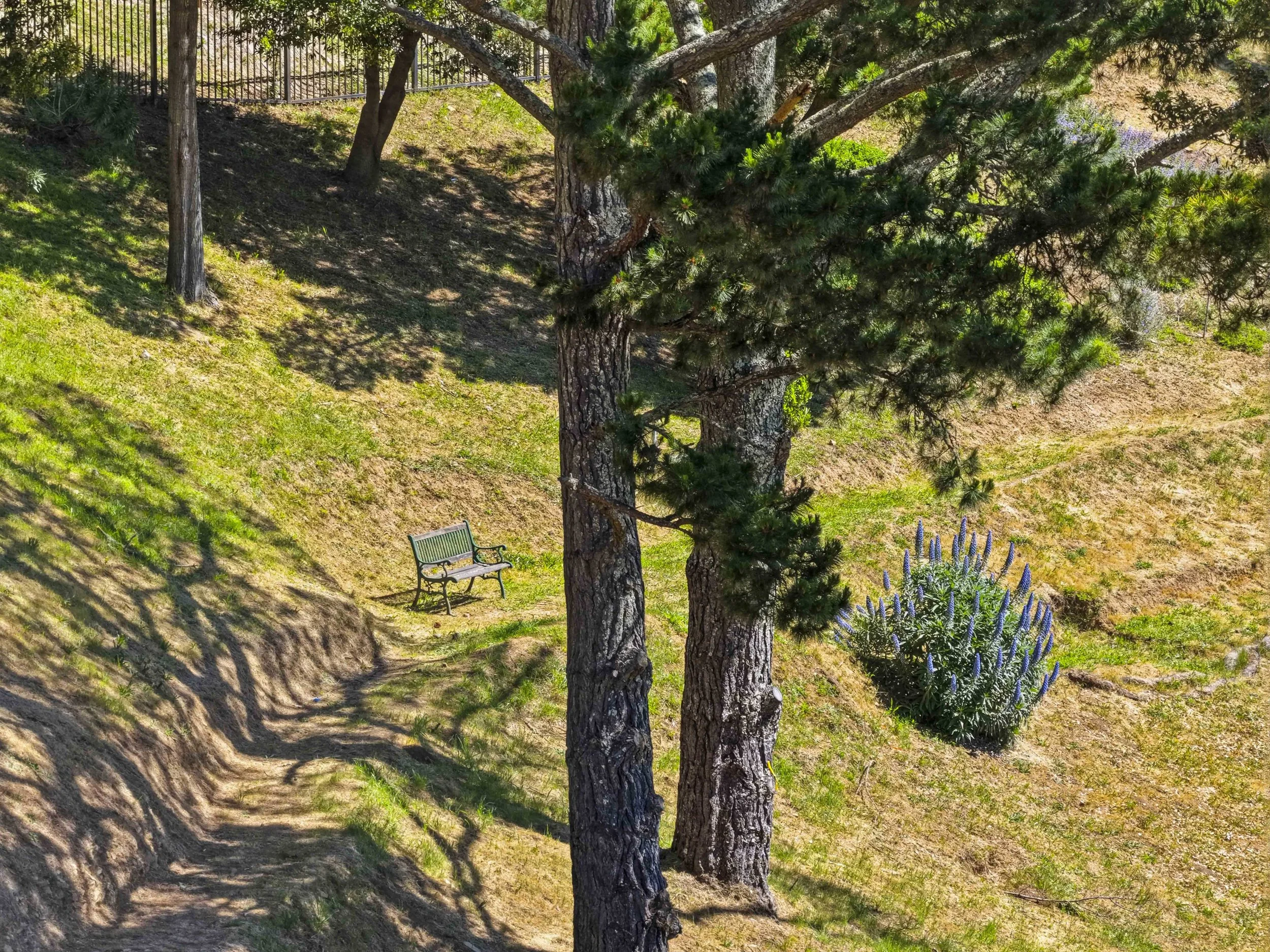 107 Mount Tiburon 59.jpg