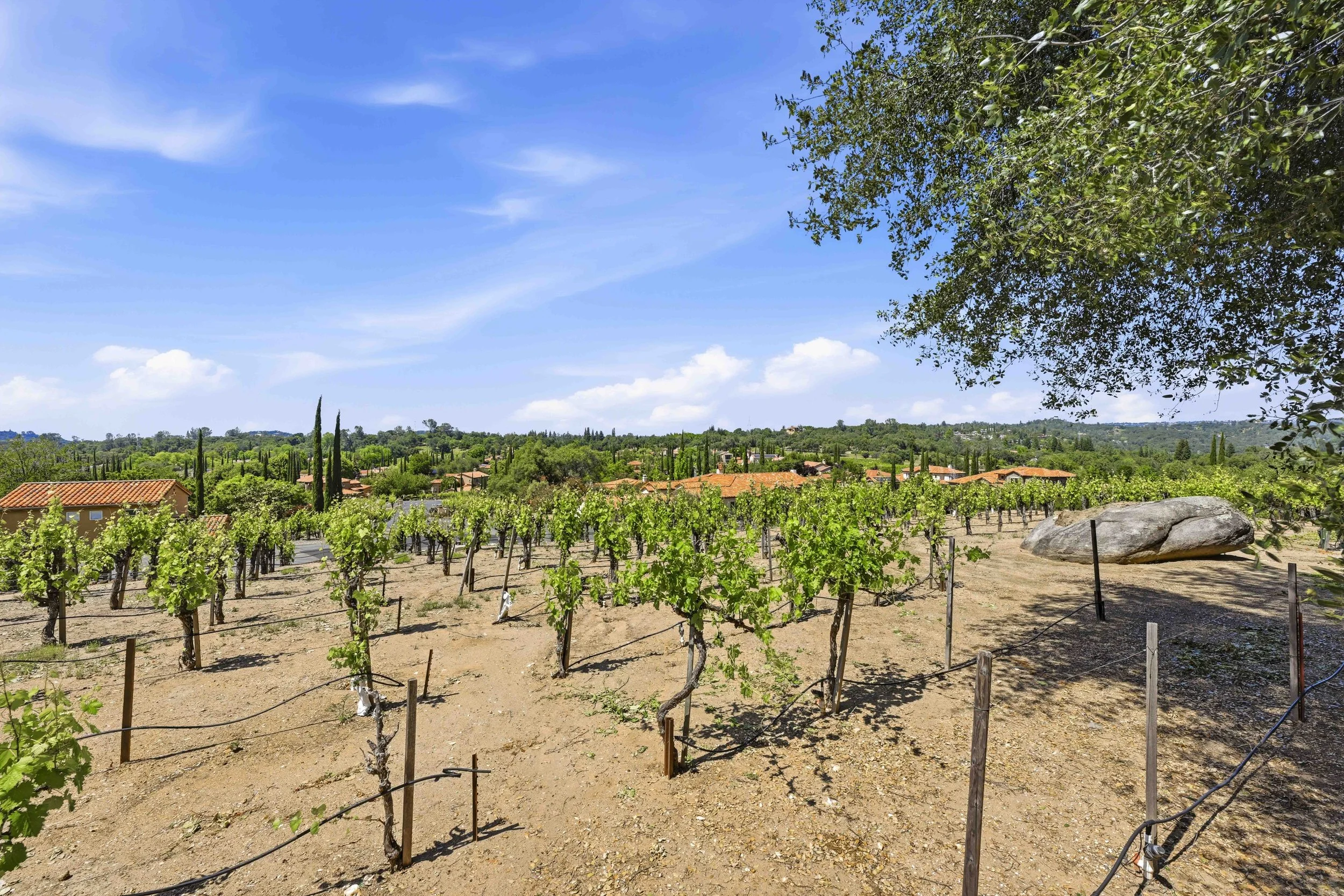 9688 Clos Du Lac Cir 213.jpg