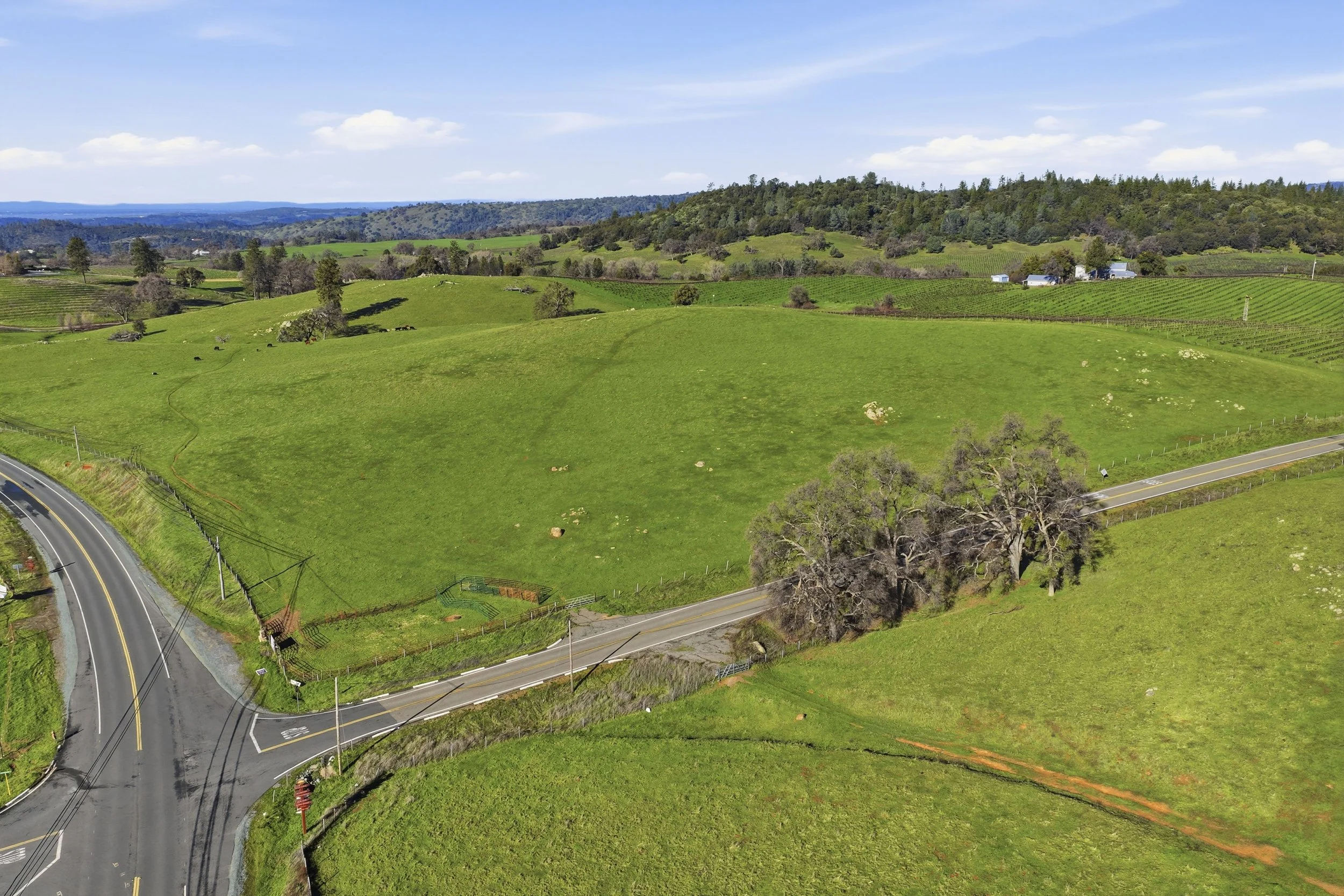 11777 Shenandoah Rd 26.jpg