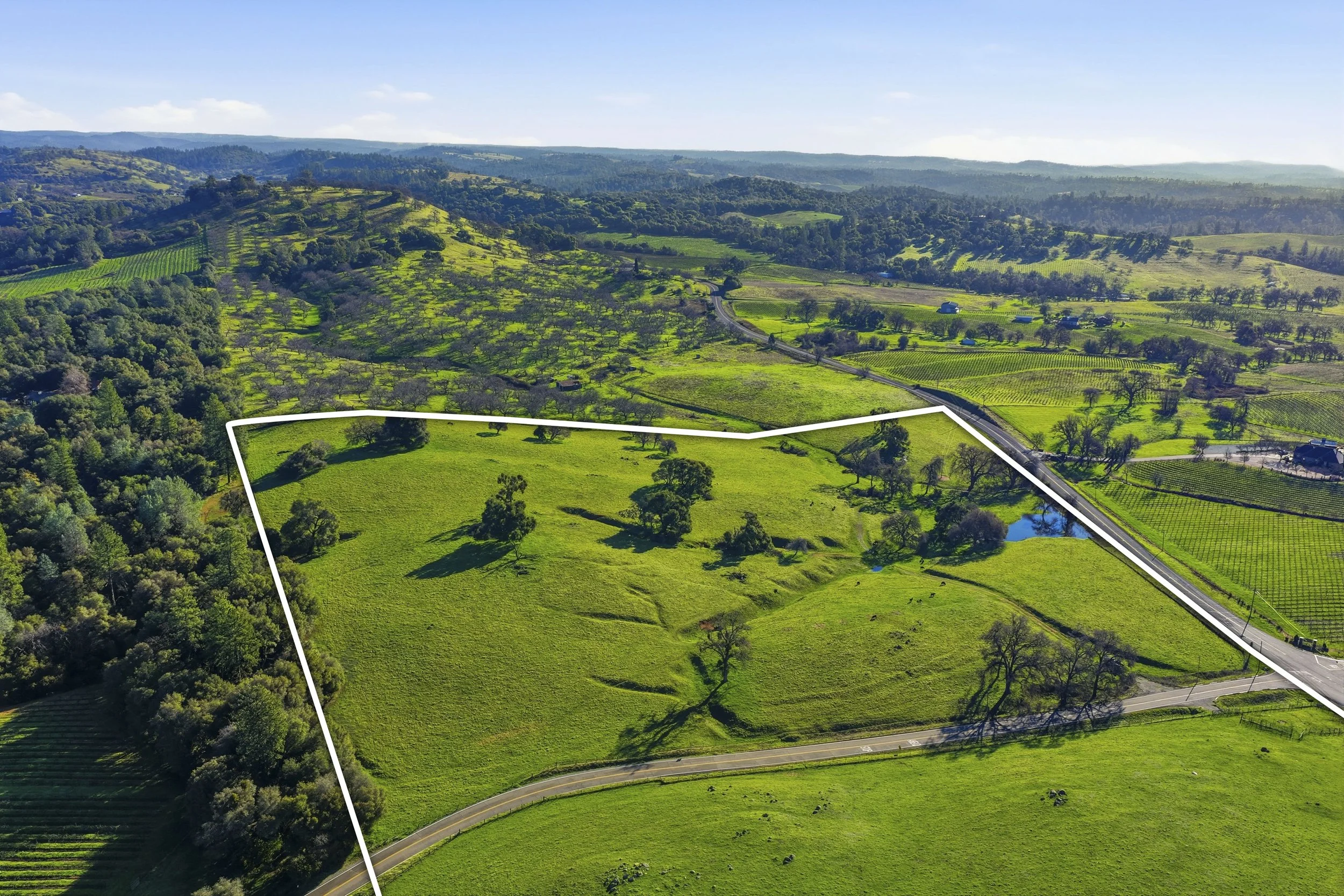 11777 Shenandoah Rd 15.jpg