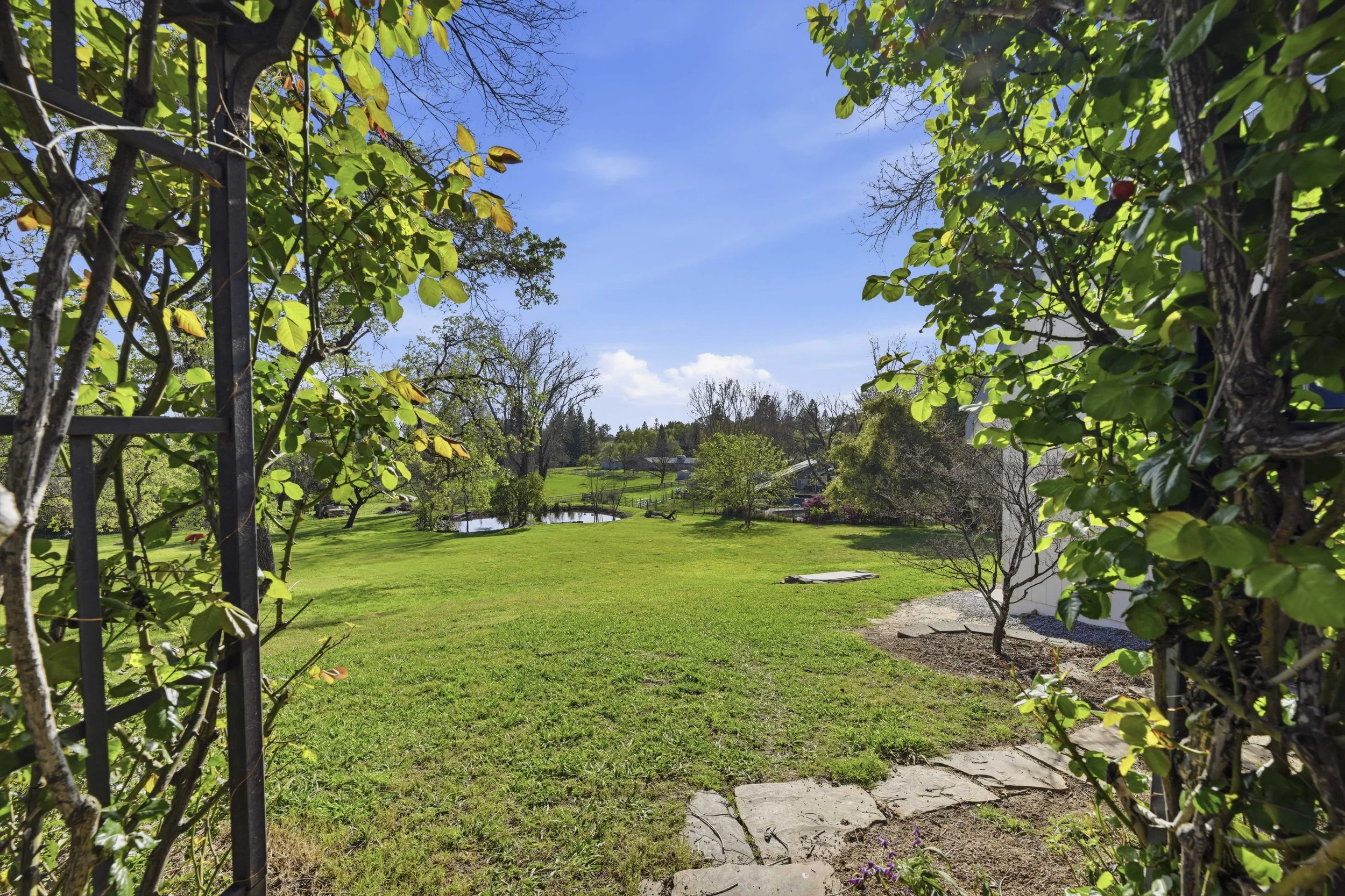 9240 Rock Springs Rd _71.jpg