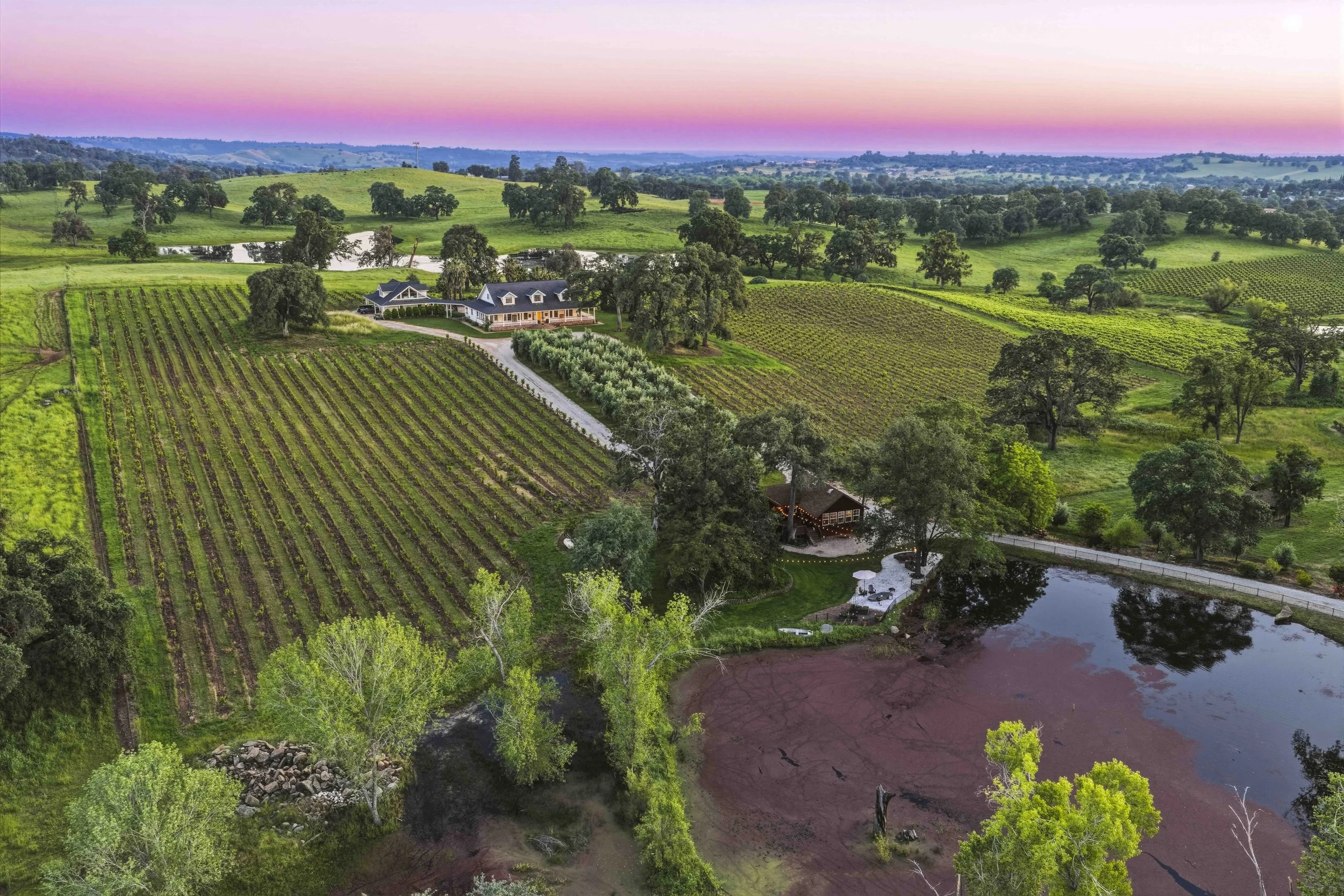 Young's Vineyard Twilights - _26.jpg