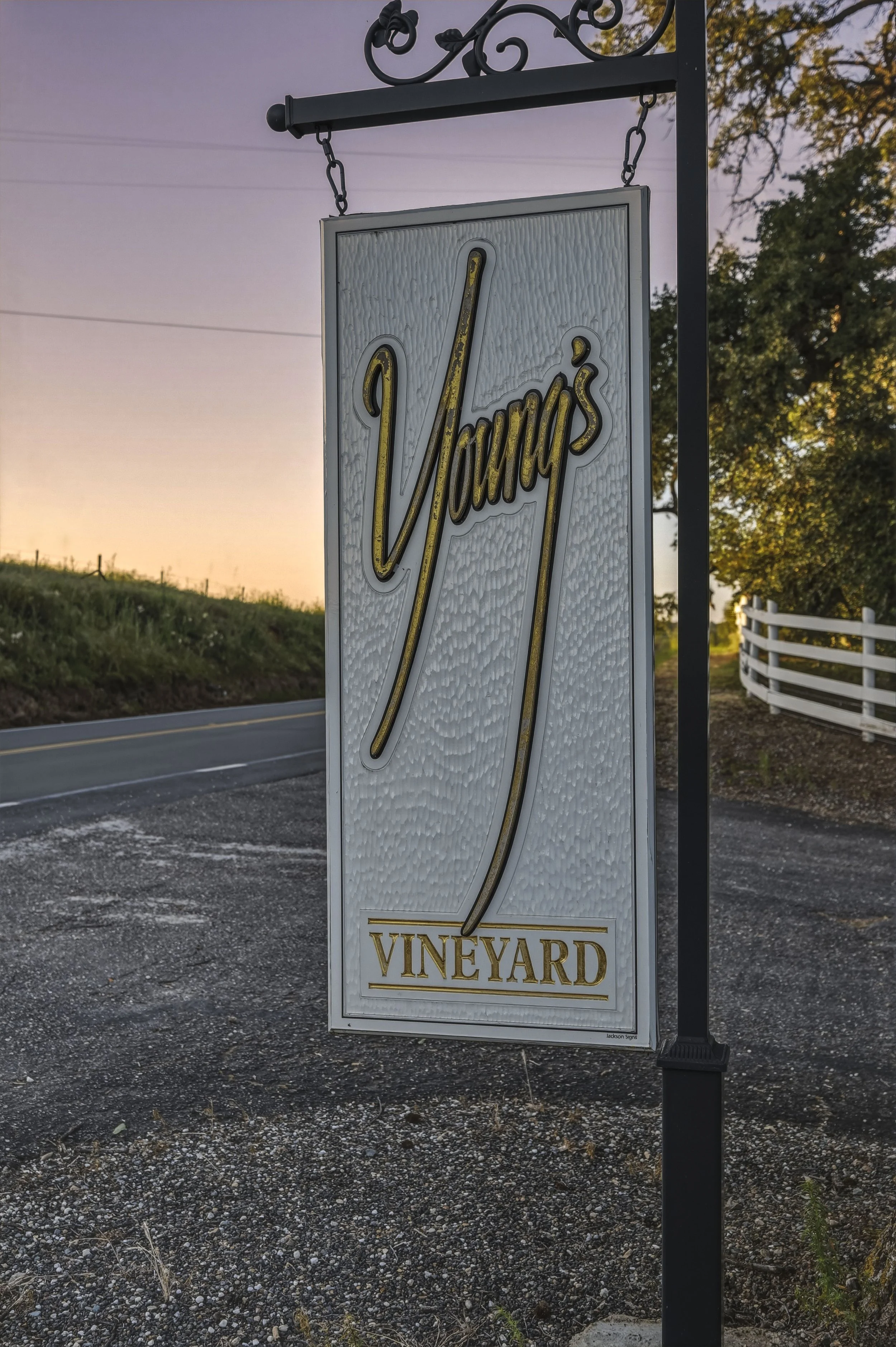 Youngs Vineyard 53.jpg