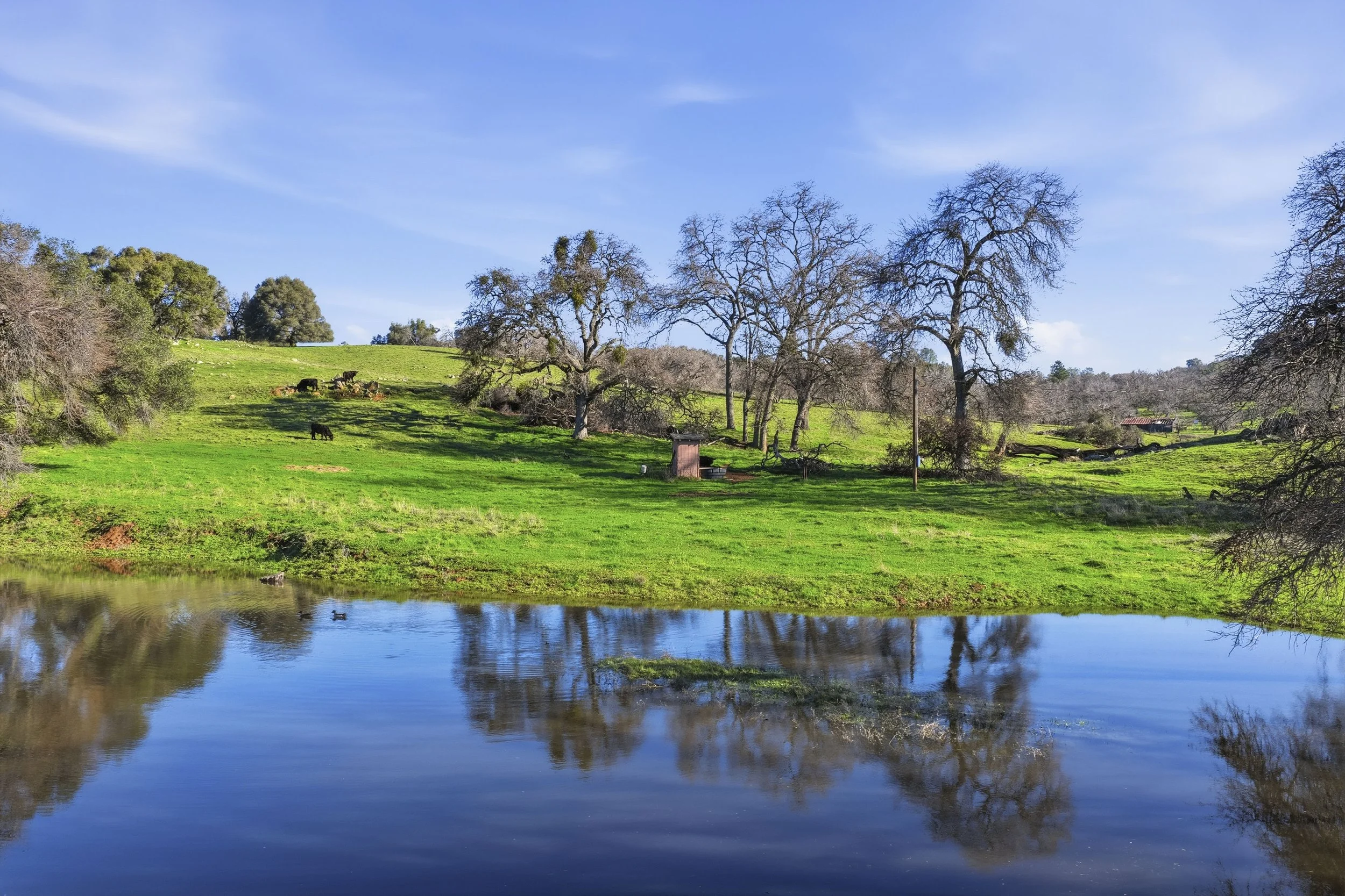 11777 Shenandoah Rd 22.jpg