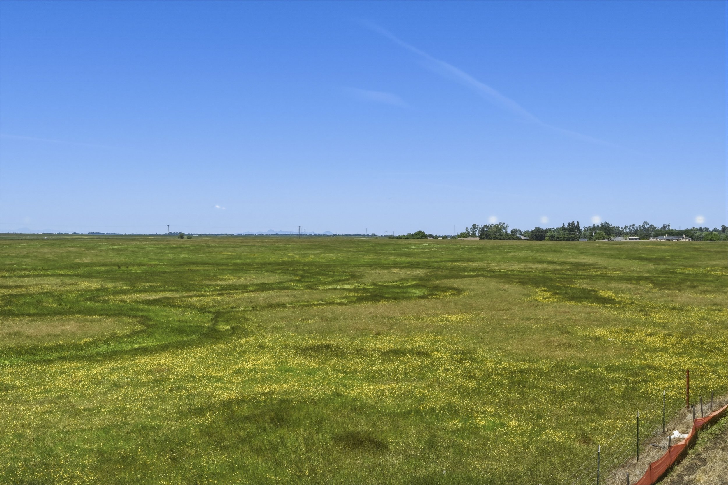 841 Rosette Ct - 79.jpg