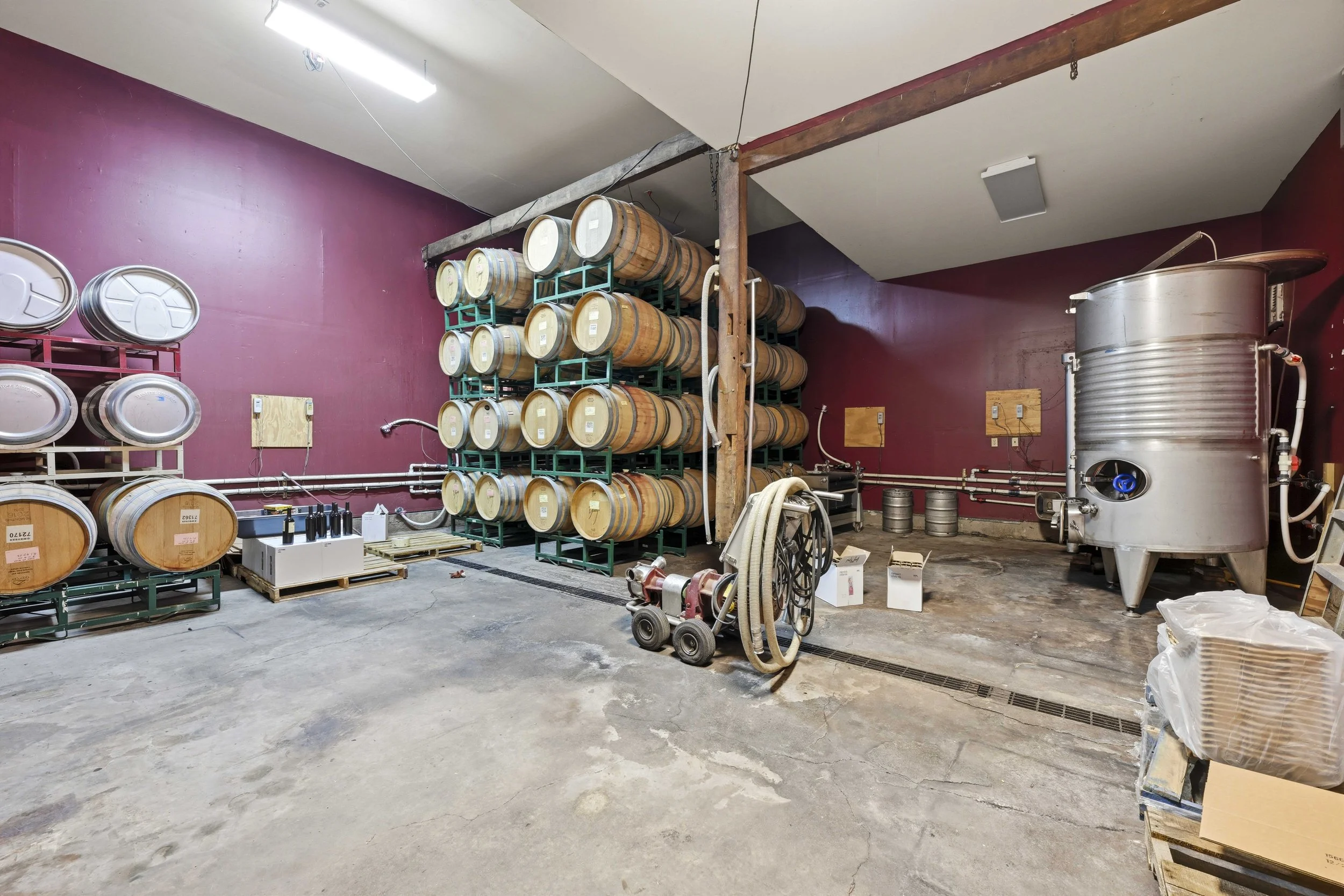Young's Vineyard - 147.jpg