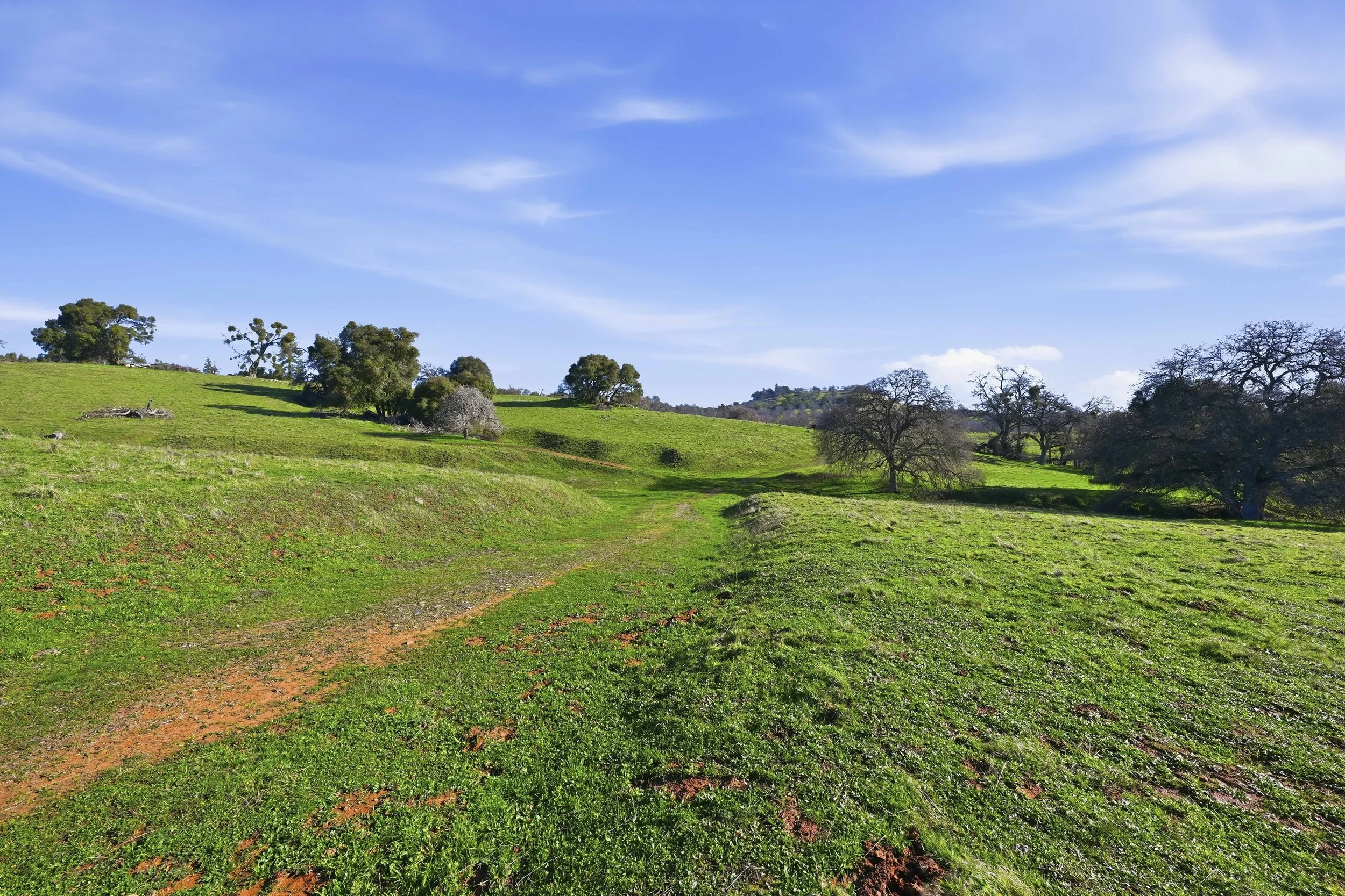 11777 Shenandoah Rd 28.jpg