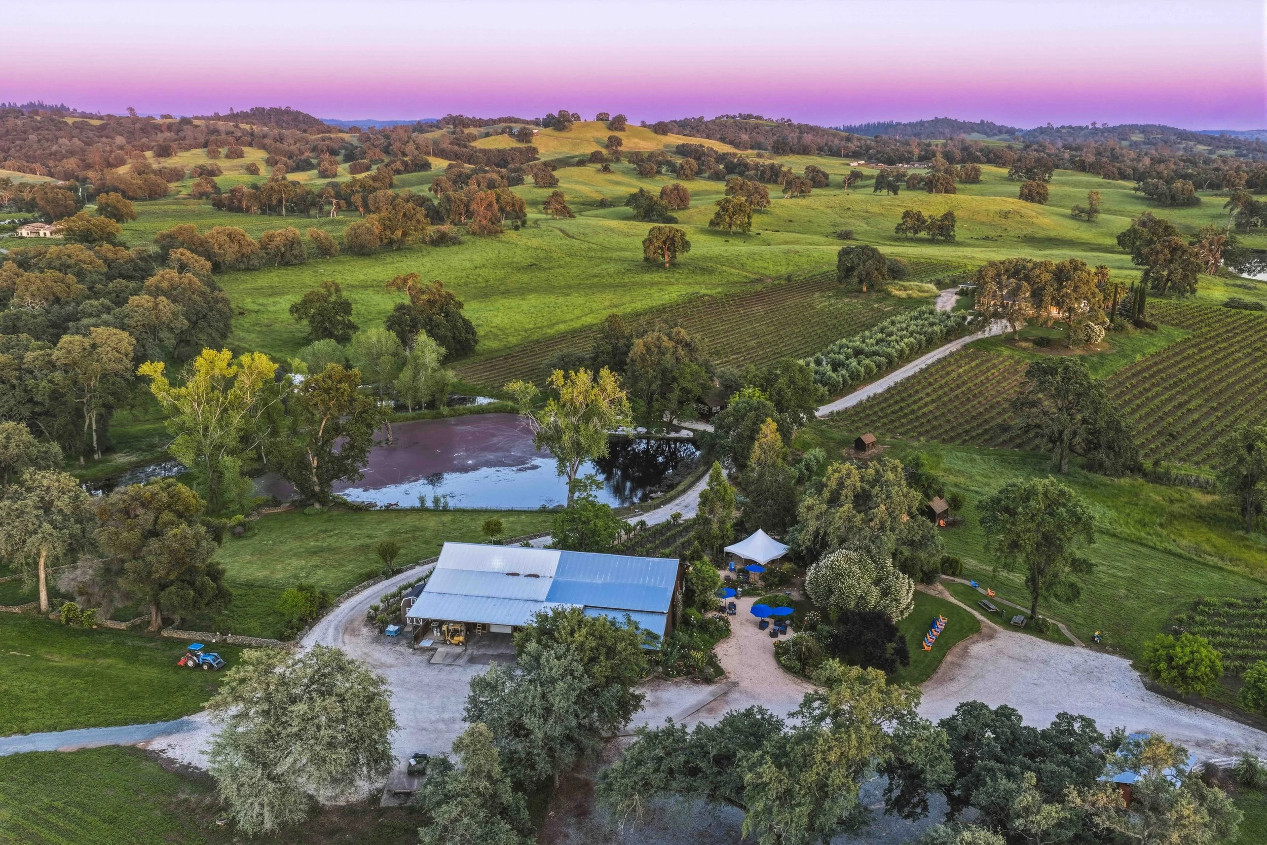 Young's Vineyard Twilights - _20.jpg