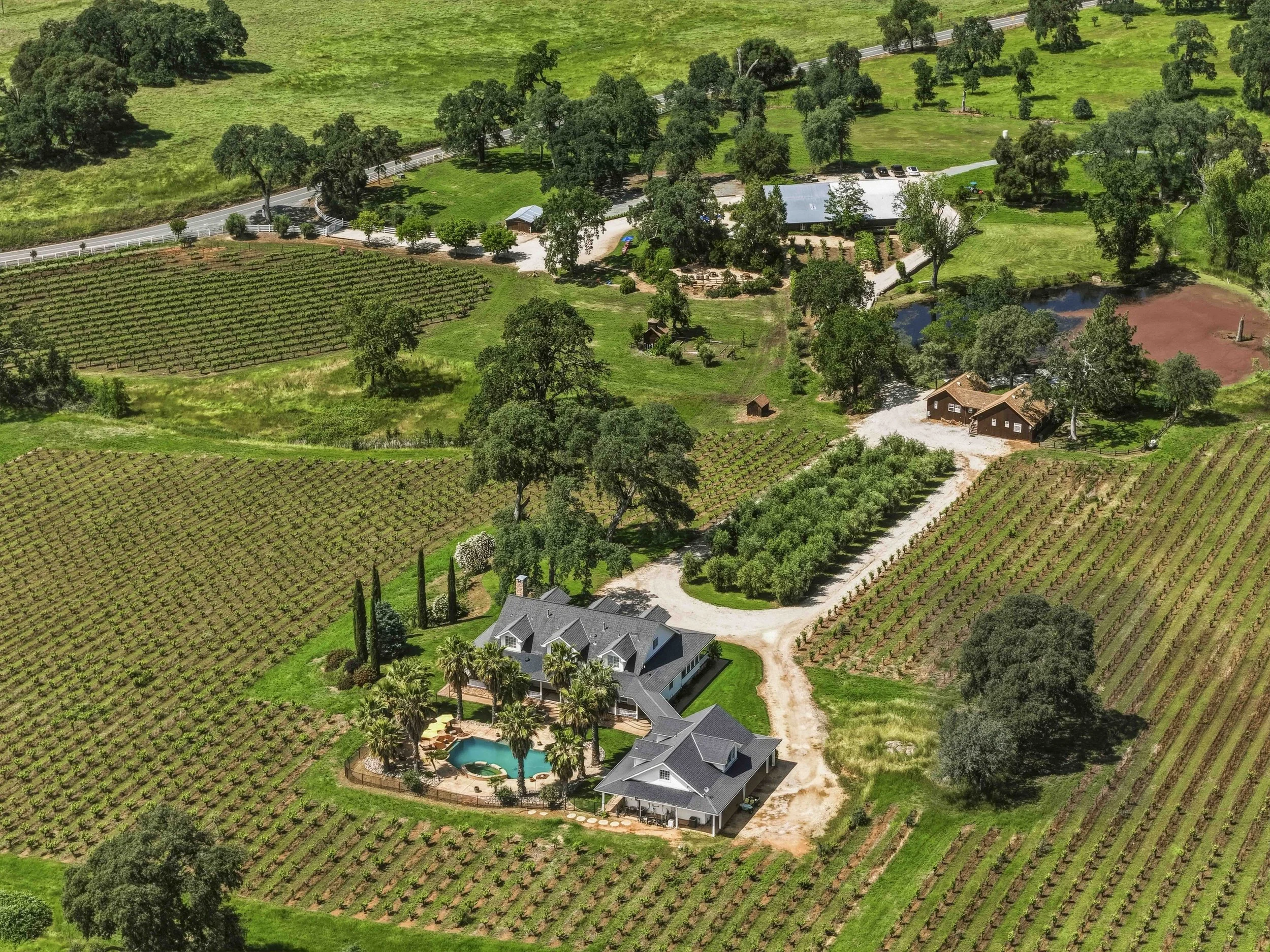 Young's Vineyard - 10.jpg