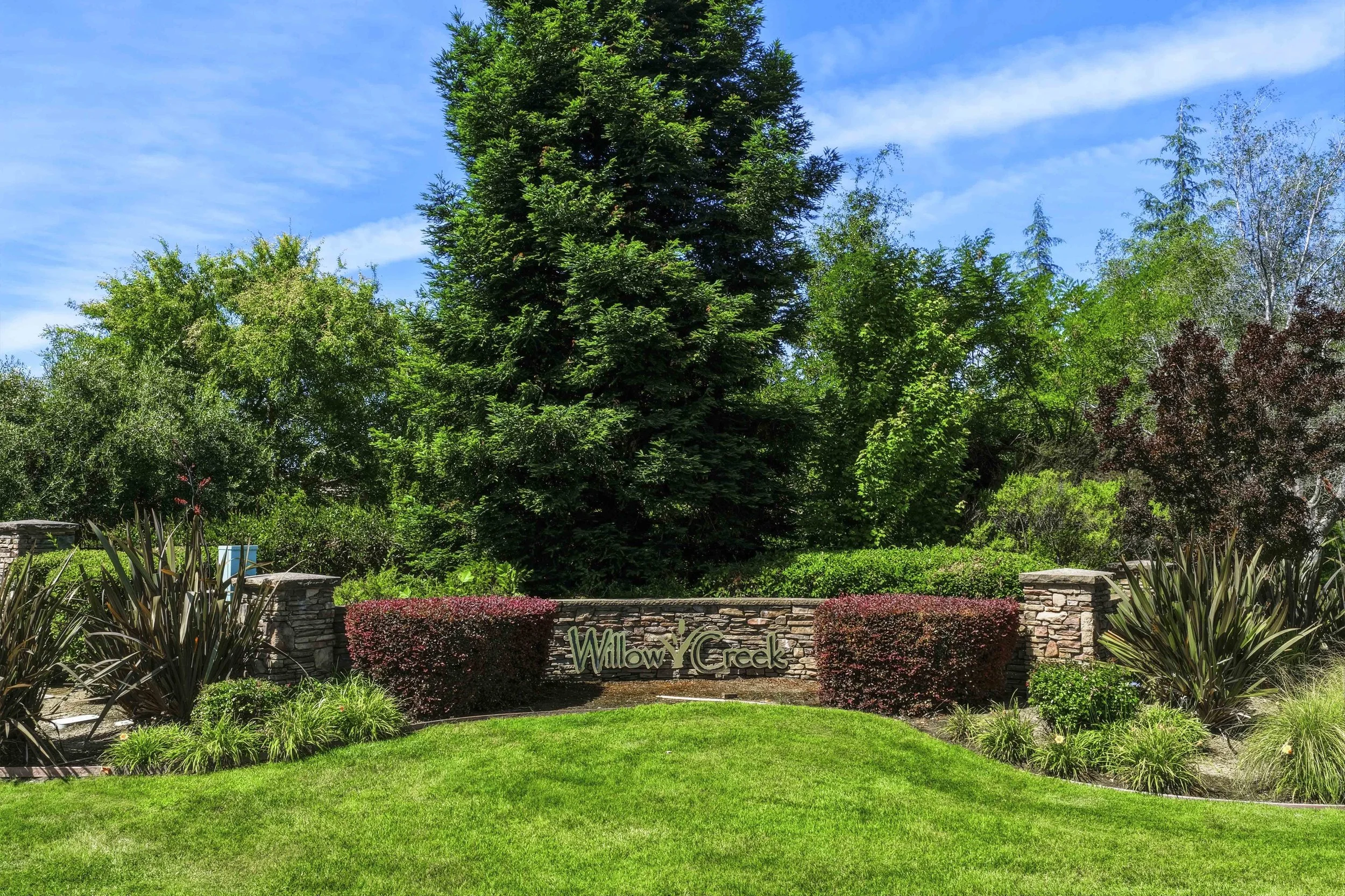 9525 Littoral St _9.jpg